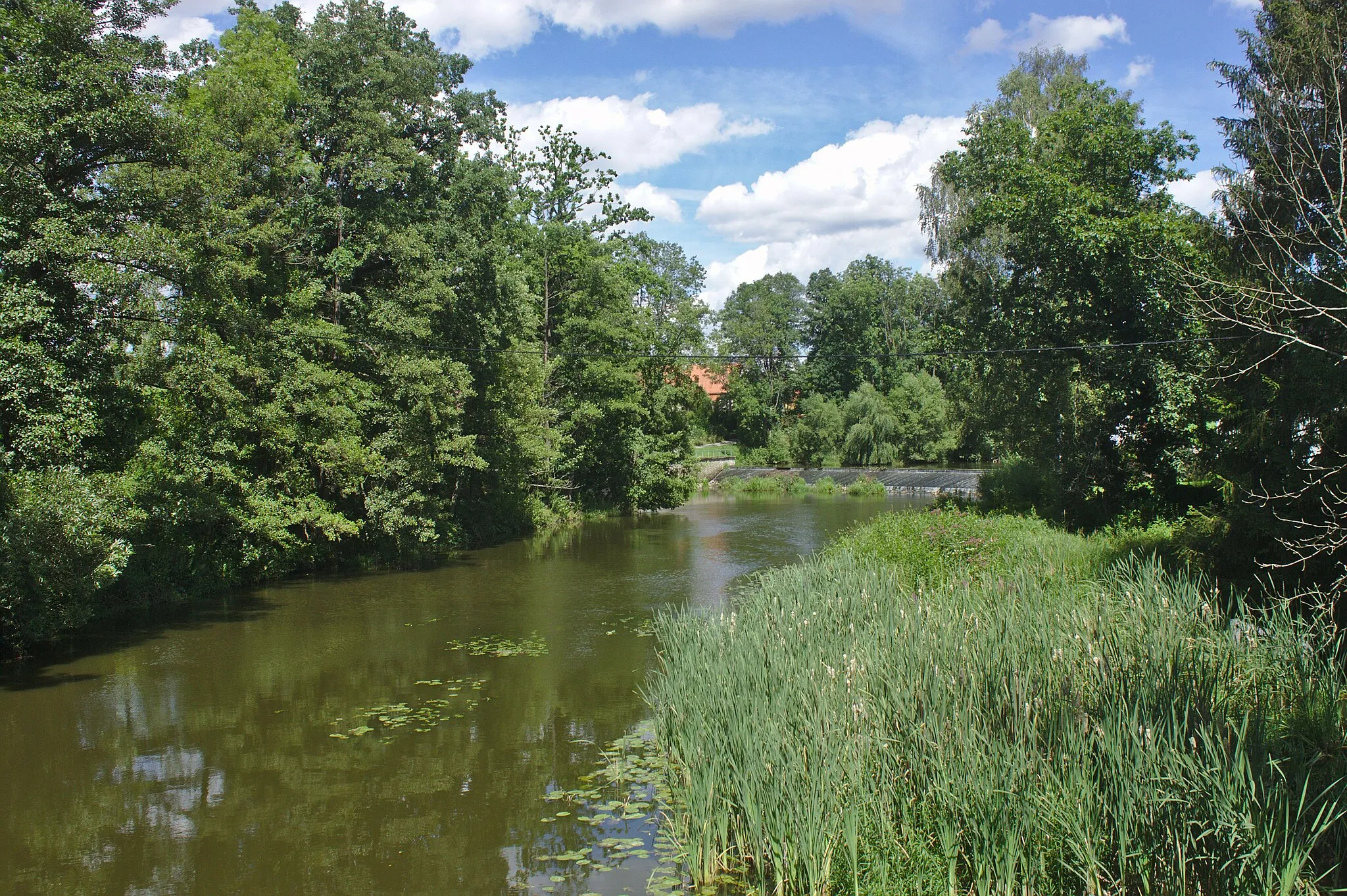 Photo showing: Nežárka ve vesnici Horní Žďár, Jihočeský kraj