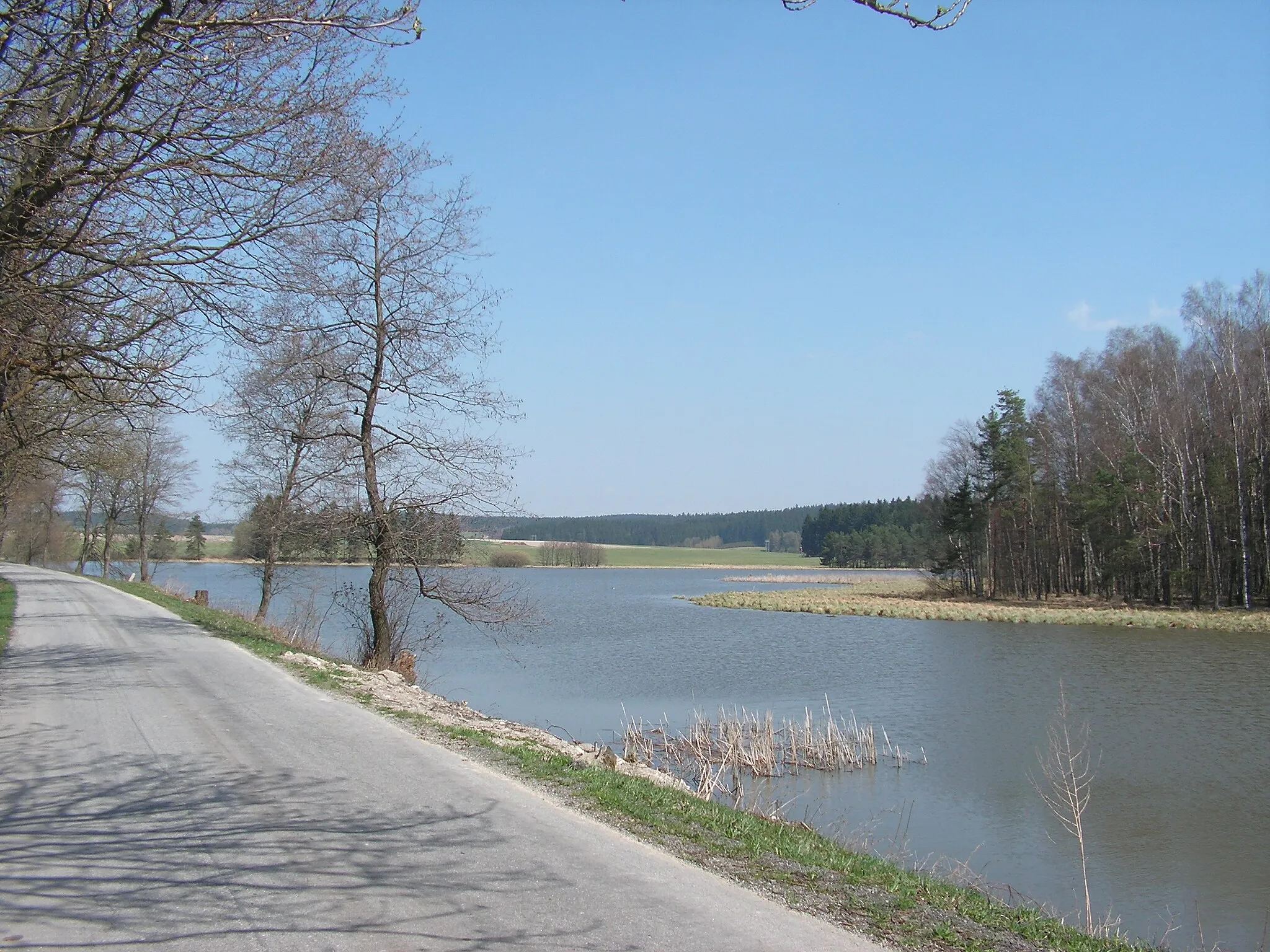 Photo showing: Rybník Malé Dářko v okrese Žďár nad Sázavou