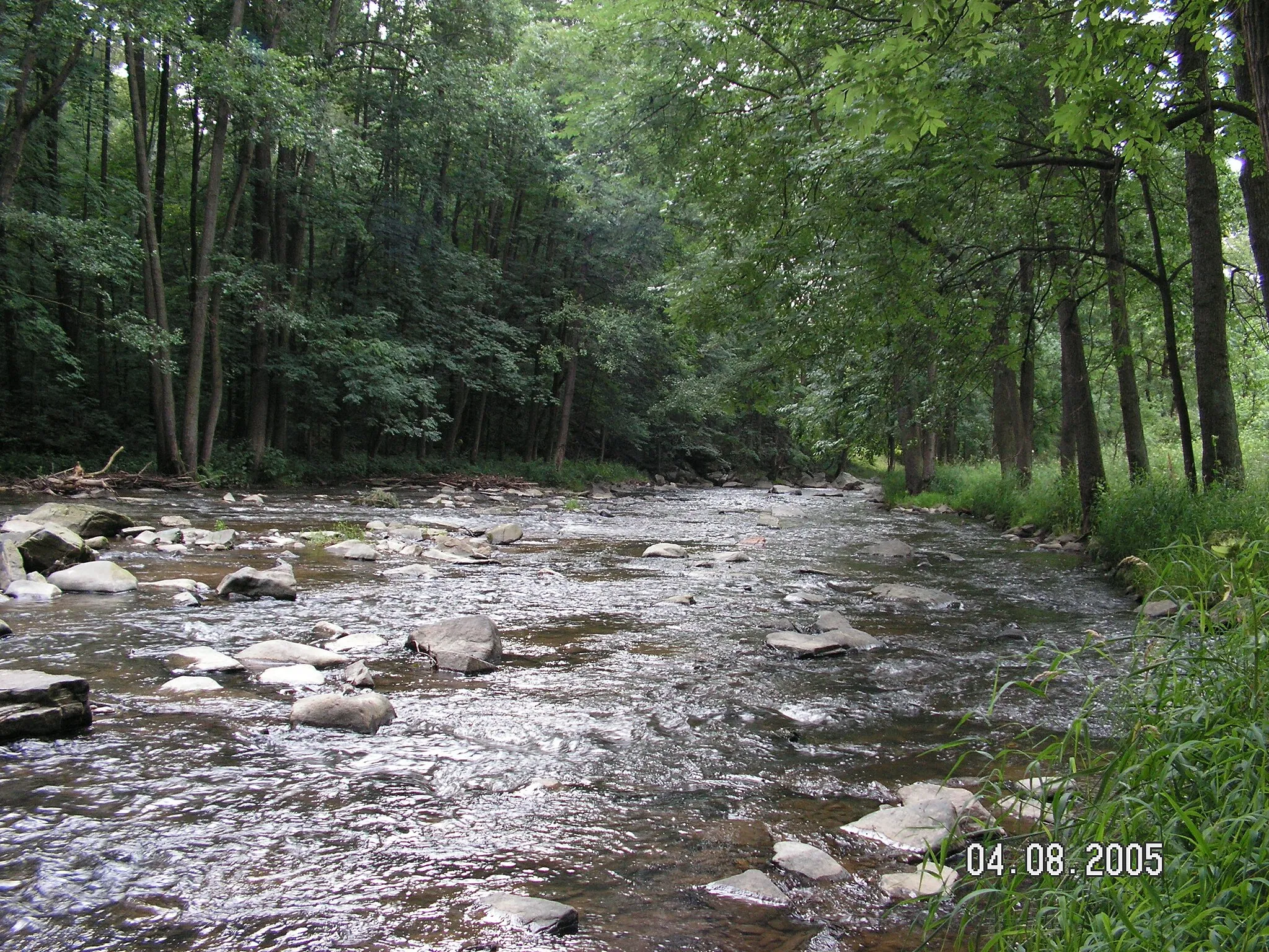 Photo showing: řeka Doubrava u Ronova