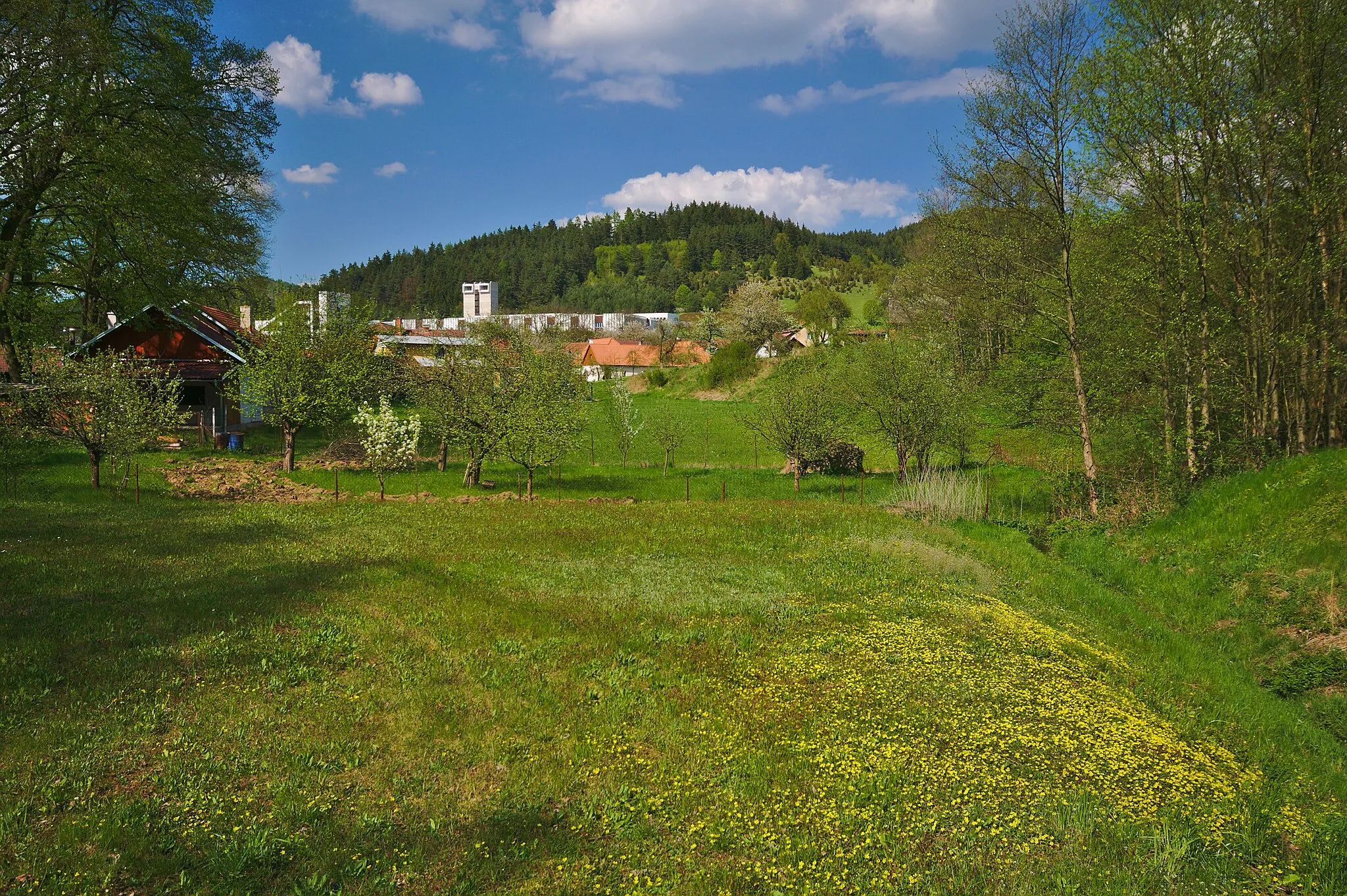 Photo showing: Pohled na obec od jihu, Švařec, Koroužné, okres Žďár nad Sázavou