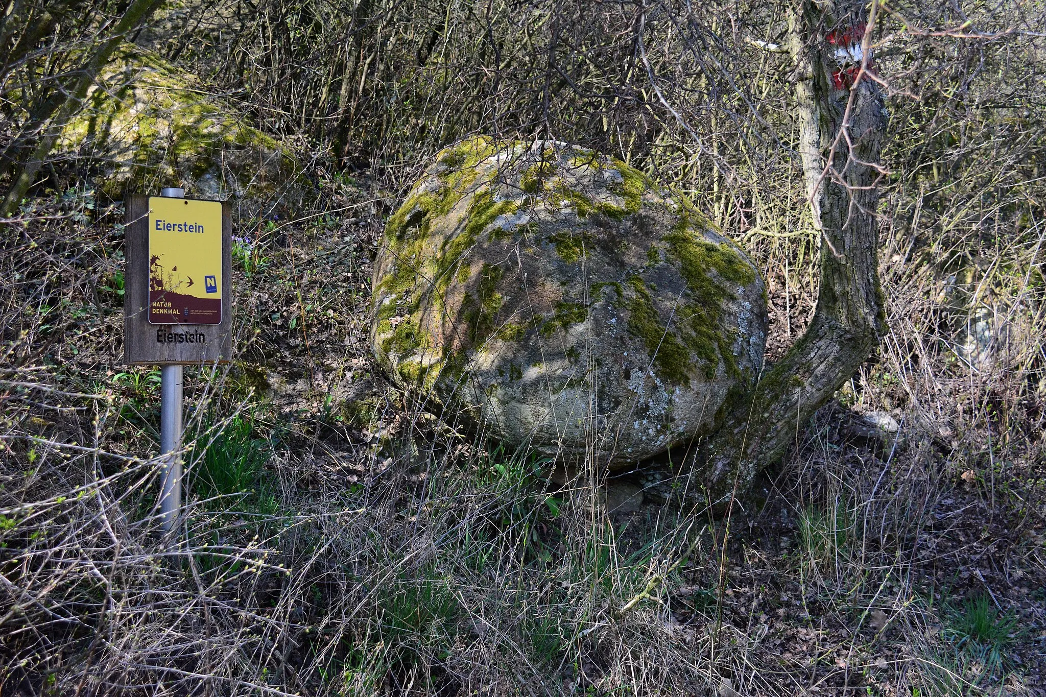 Photo showing: This media shows the natural monument in Lower Austria  with the ID HL-060.