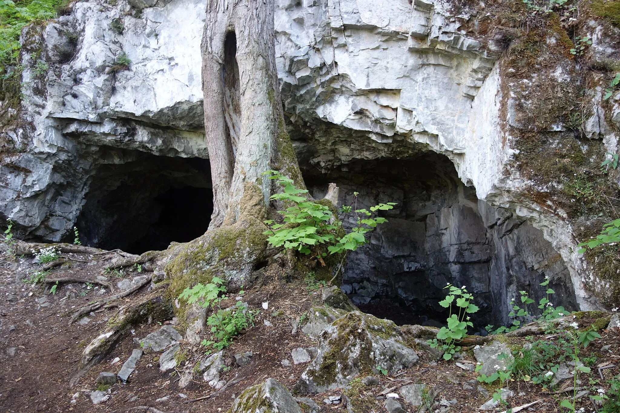 Photo showing: Partyzánská, oficiálně Supí, jeskyně ve Křtinským údolí.
