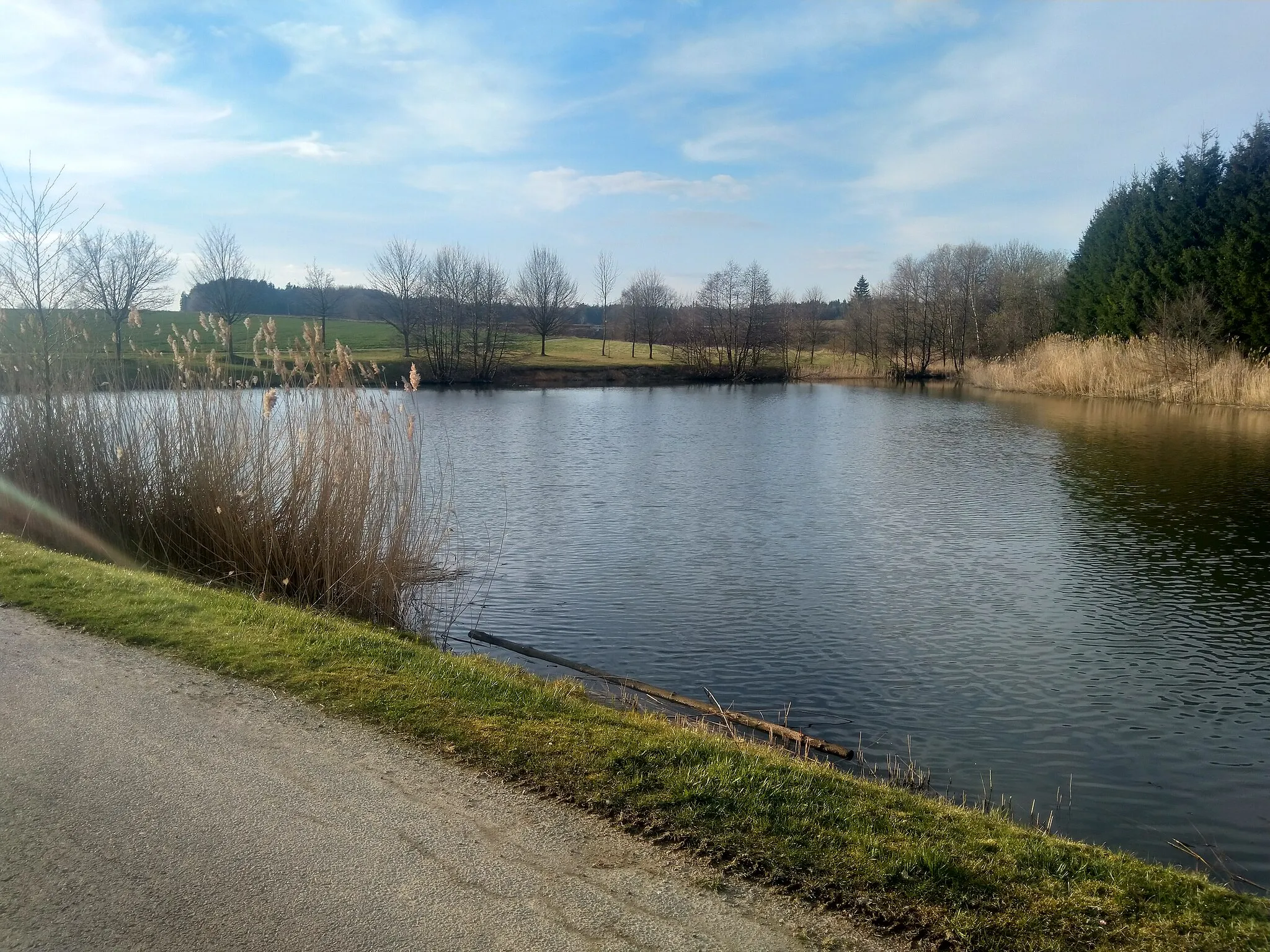 Photo showing: Kříbek (rybník v okrese Žďár nad Sázavou)