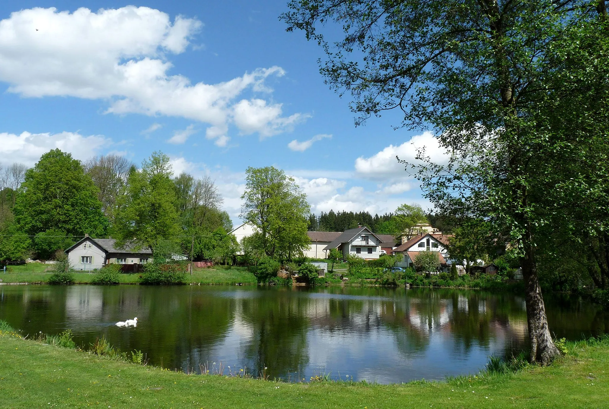 Photo showing: Village pond in the village of Utín, prat of the town of Přibyslav, Havlíčkův Brod District, Vysočina Region, Czech Republic.