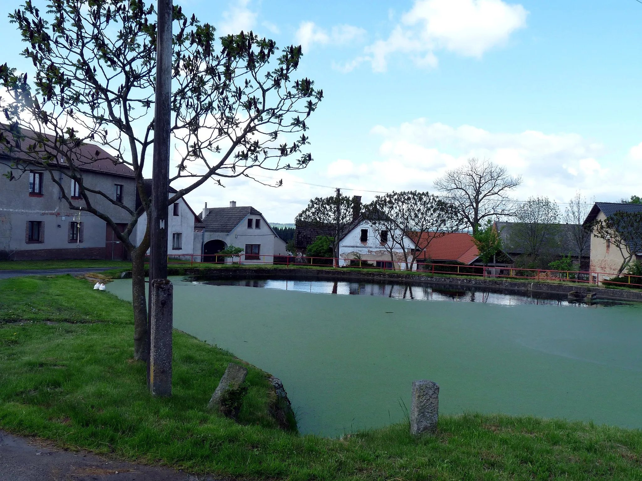 Photo showing: Village pond in the village of Hřiště, Havlíčkův Brod District, Vysočina Region, Czech Republic.