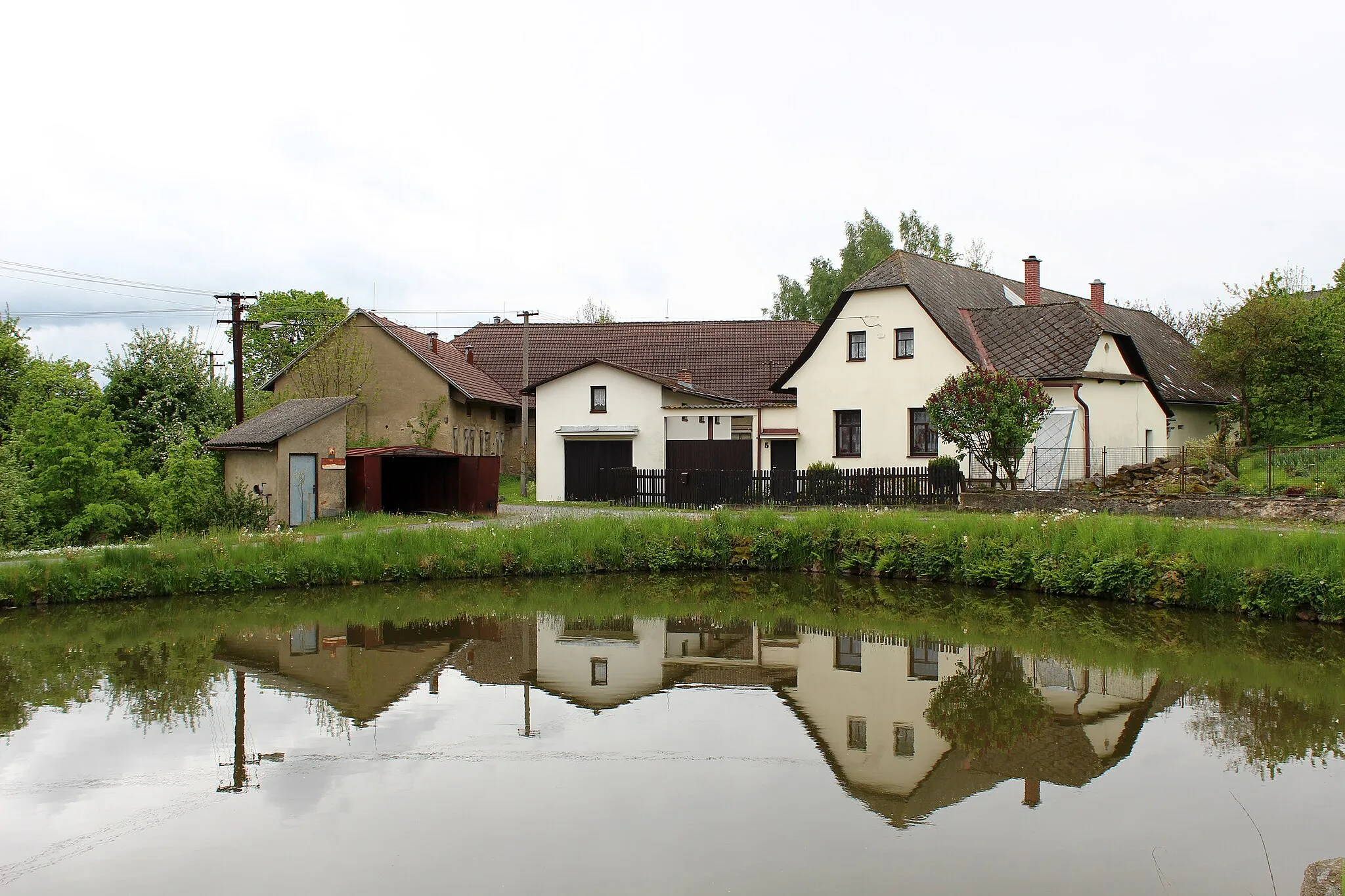 Photo showing: Common in Pořežín, part of Velká Losenice, Czech Republic