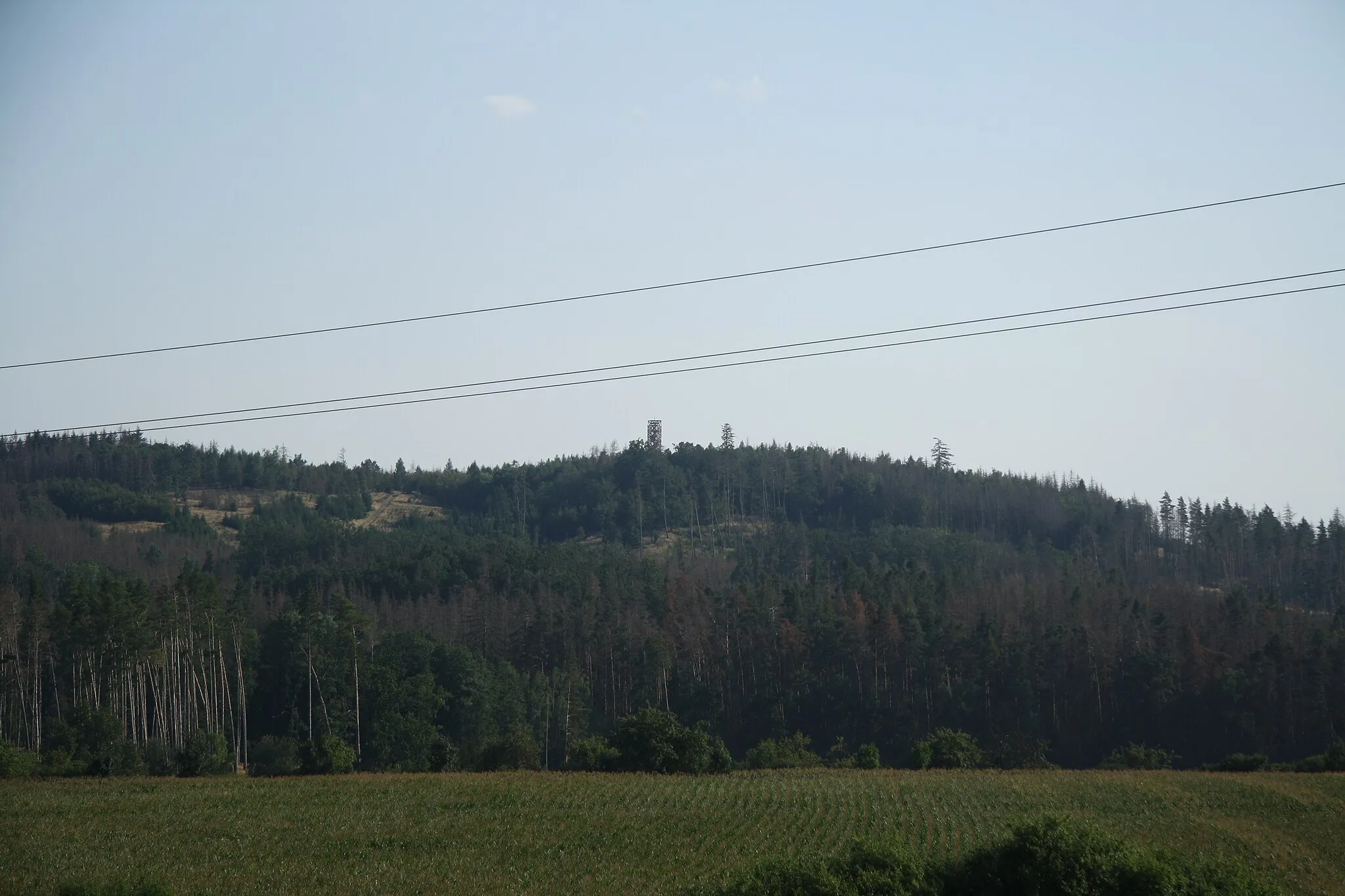 Photo showing: Overview of hill Pekelný kopec near Mikulovice, Třebíč District.