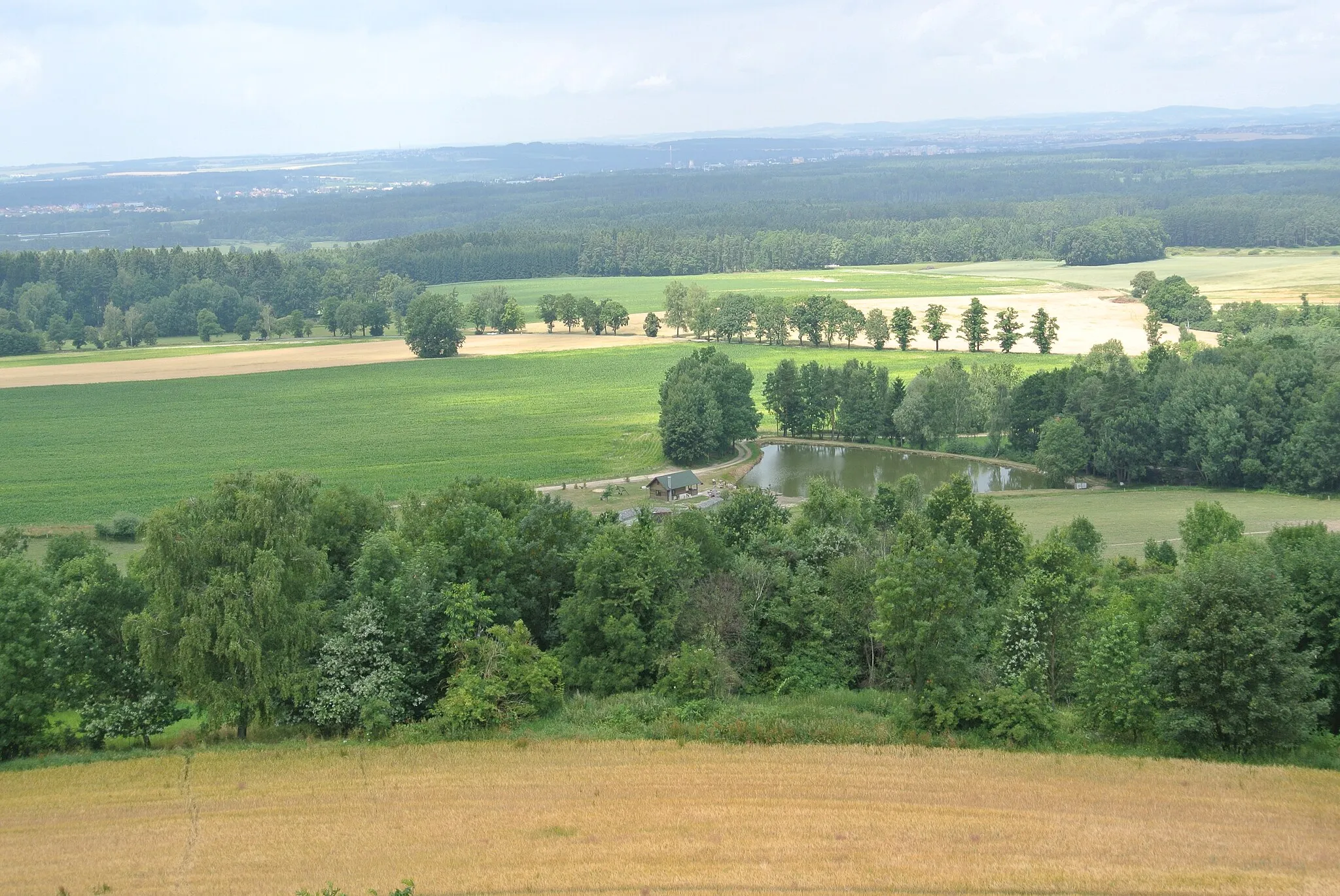 Photo showing: Rozhled z rozhledny Čermákův vrch. Struhový rybník, Chabrovice.