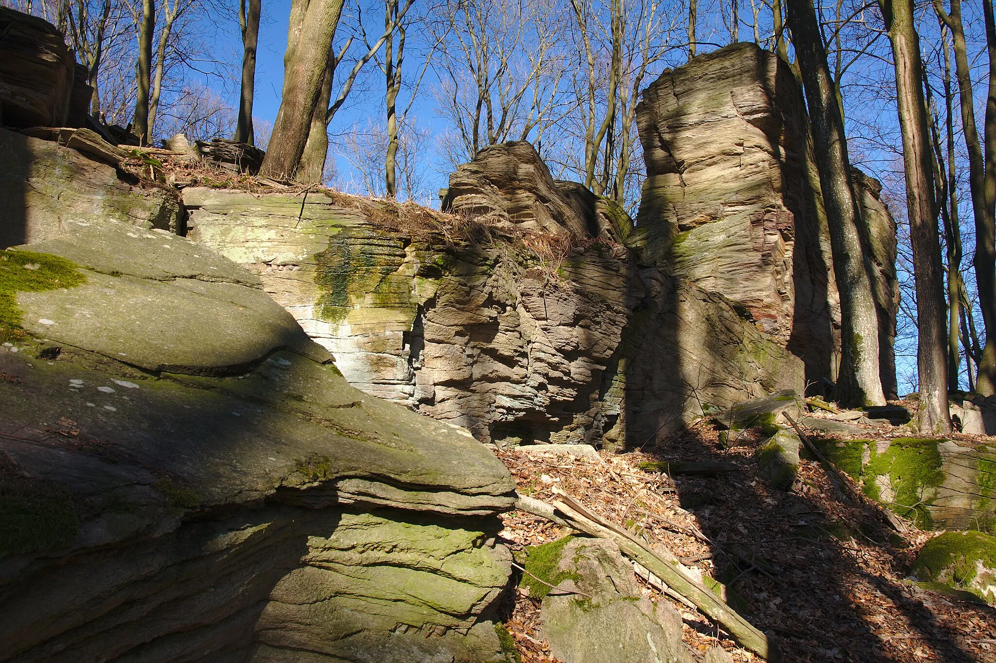 Photo showing: Přírodní rezervace Hrádky, okres Blansko