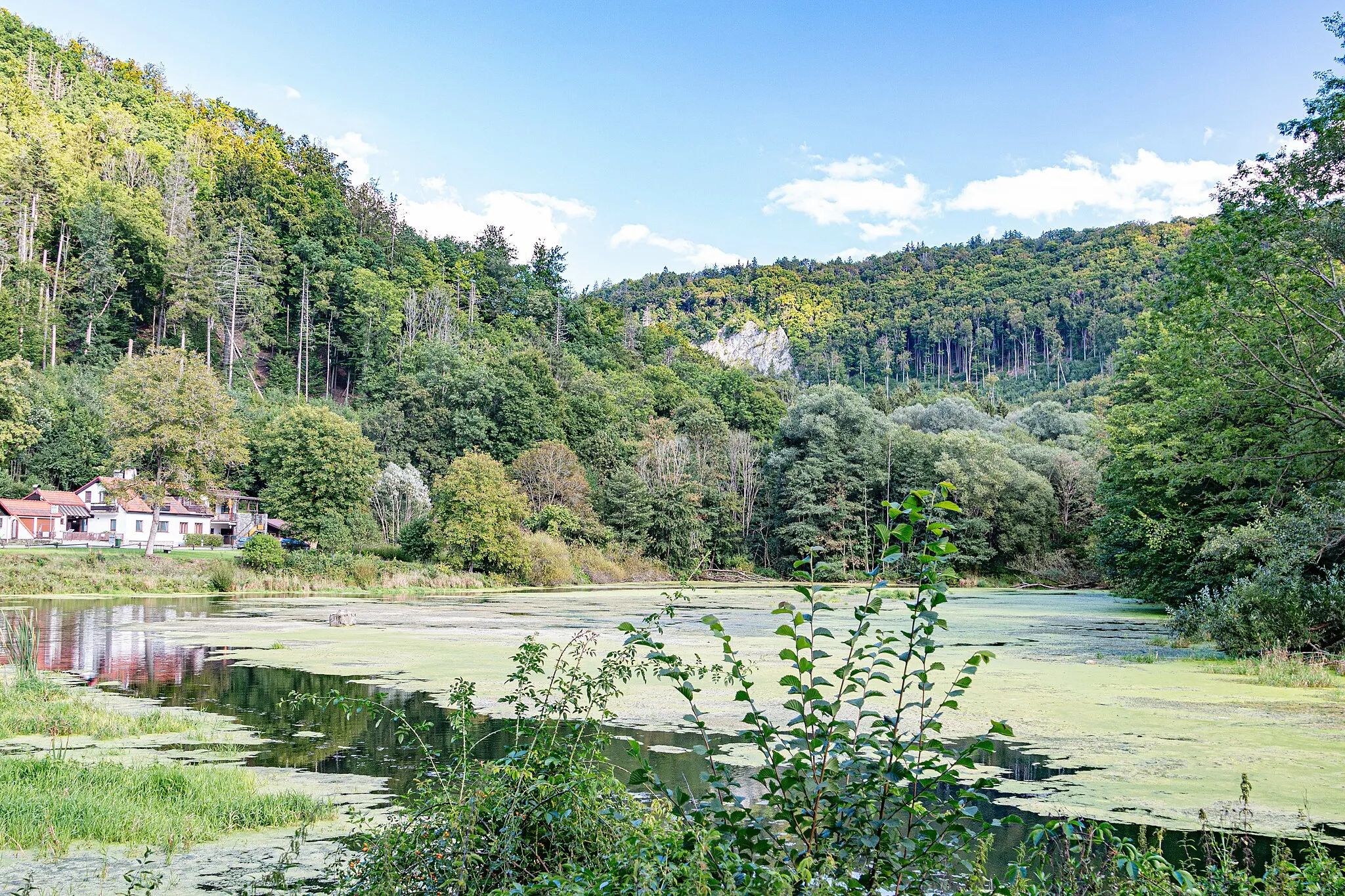 Photo showing: Jakubovo jezero