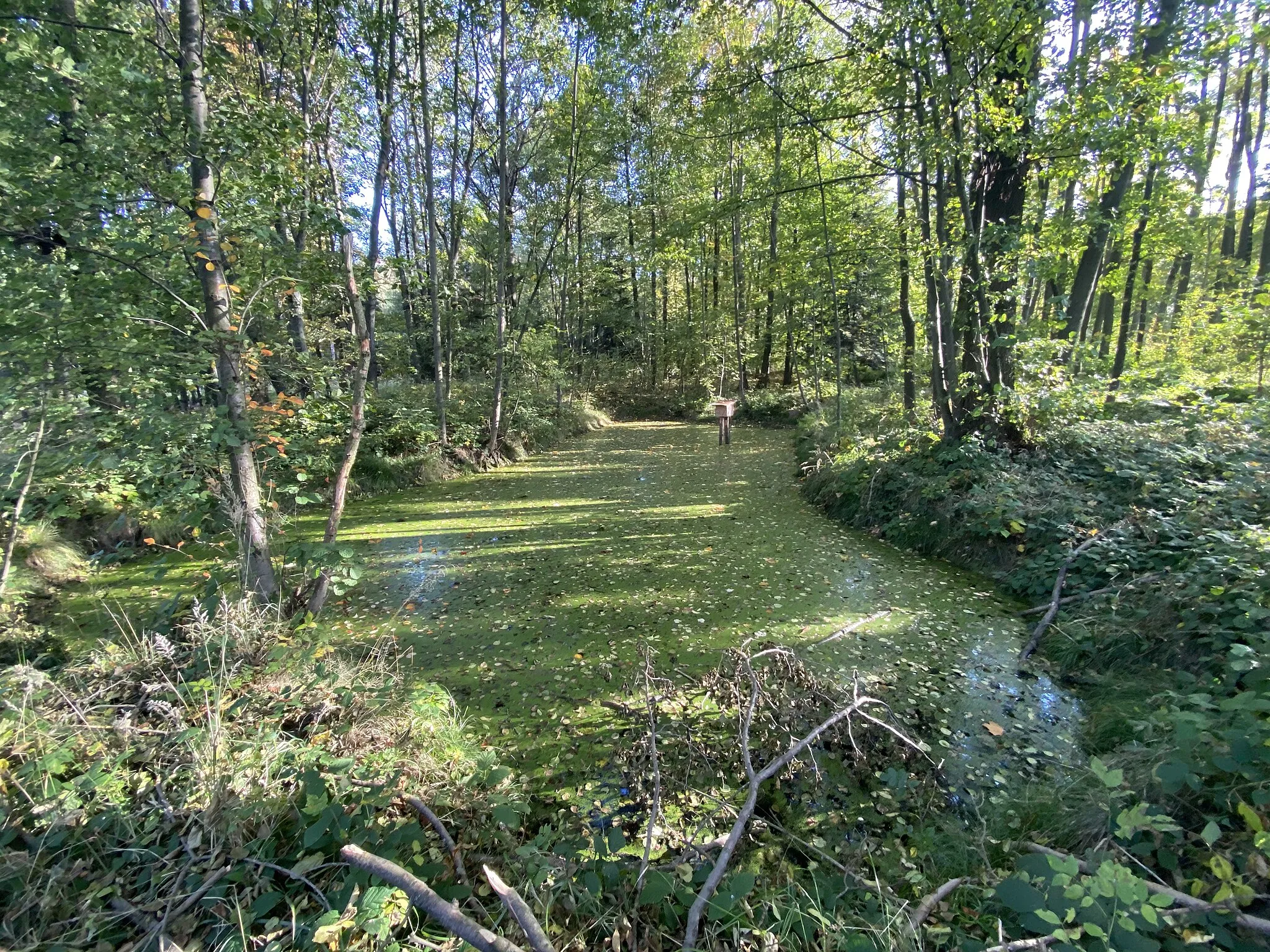 Photo showing: The source of the Onomyšlský potok stream, District Kutná Hora, Central Bohemian Region, The Czech Republic