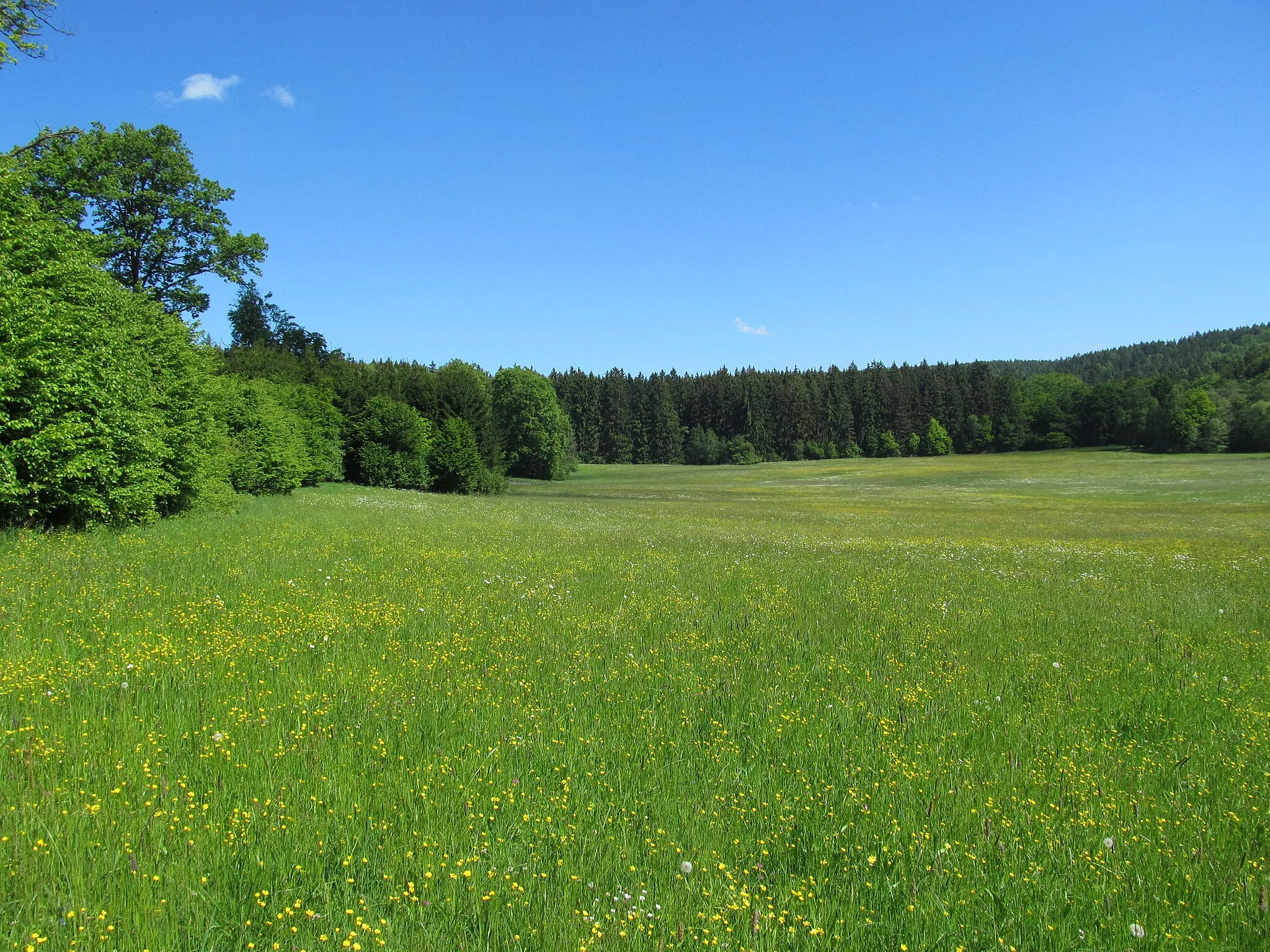 Photo showing: Meadow in Rakovecké údolí