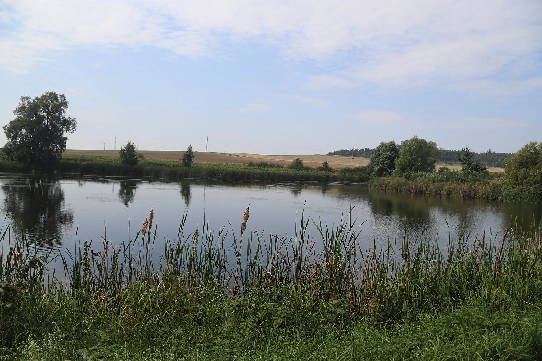 Photo showing: Overview of pond Silniční rybník near Okrašovice, Slavičky, Třebíč District.