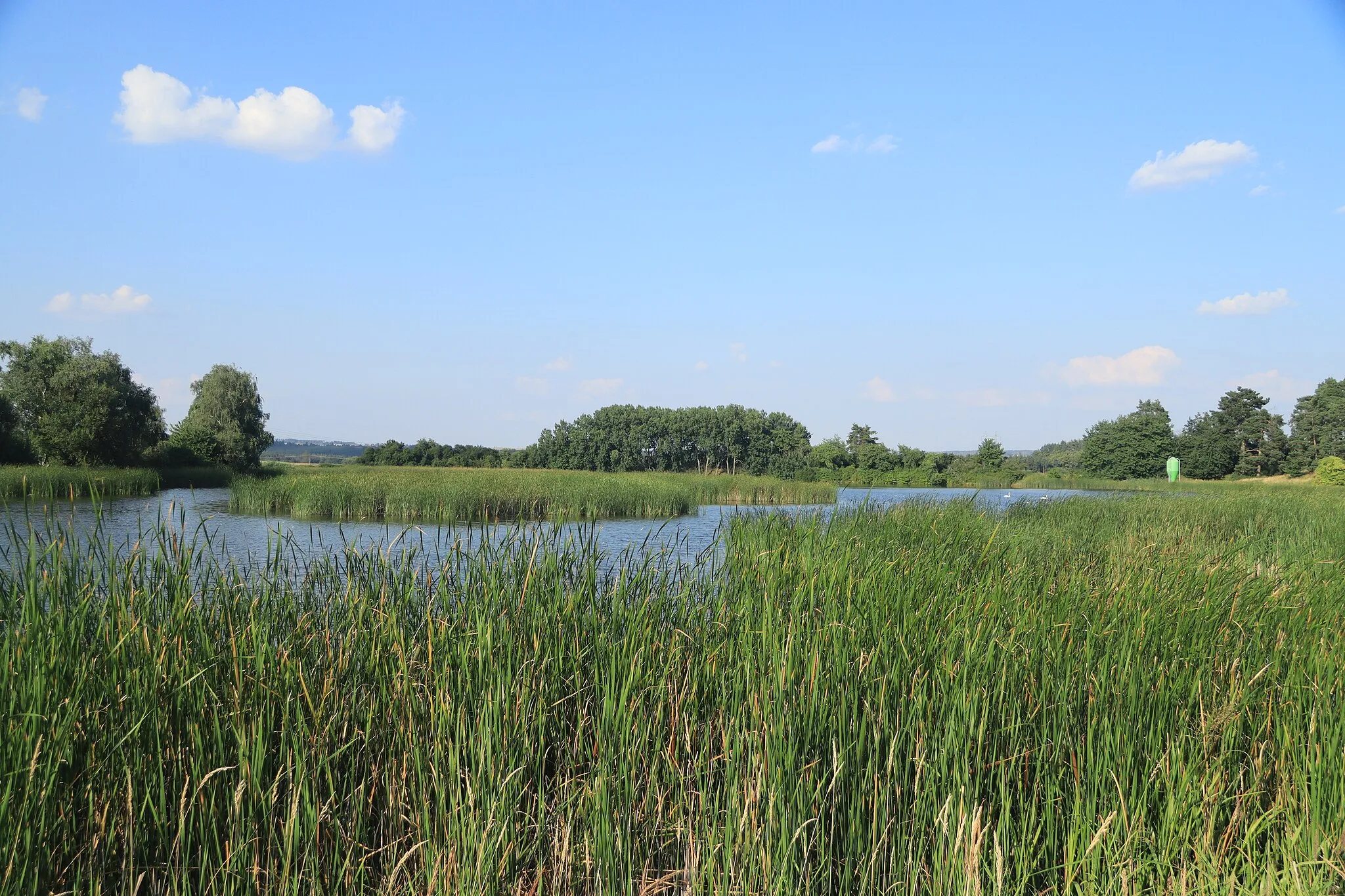 Photo showing: Overview of Nový rybník in Častotice, Zahrádka, Třebíč District.