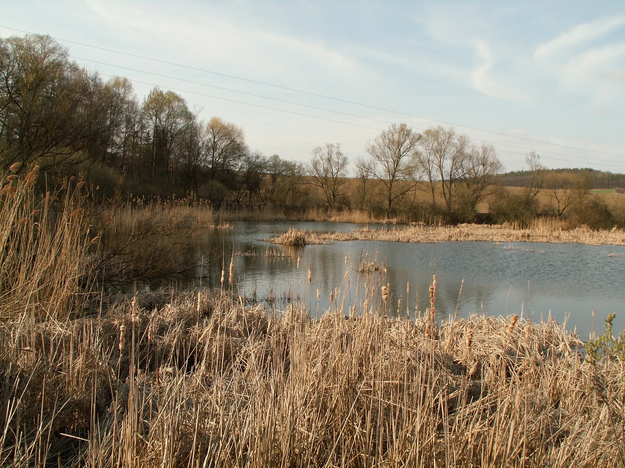 Photo showing: Pohled z pravého břehu na část Žebětínského rybníka poblíž vtoku.