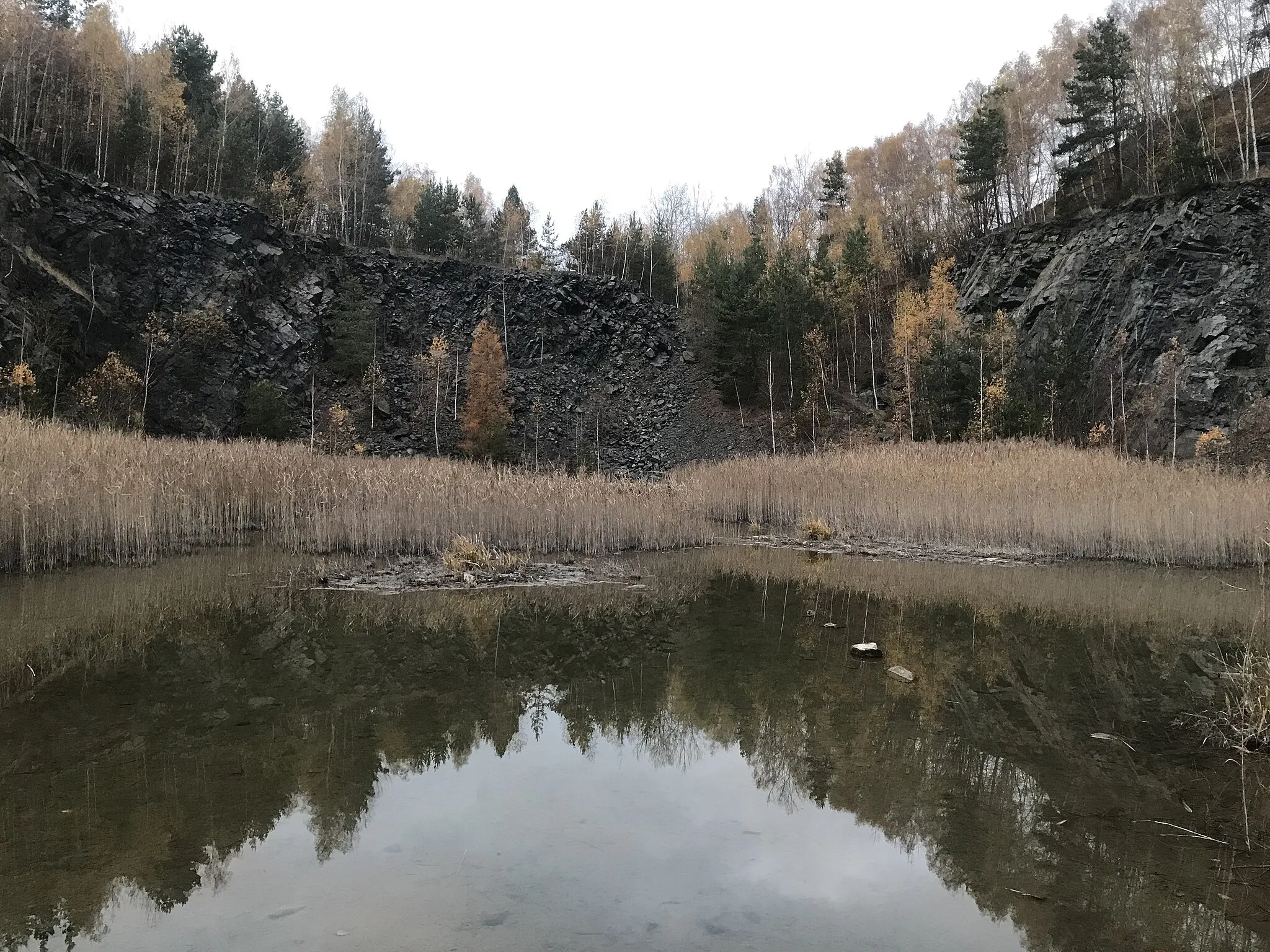 Photo showing: Vodní plocha v severní části Pacovy hory