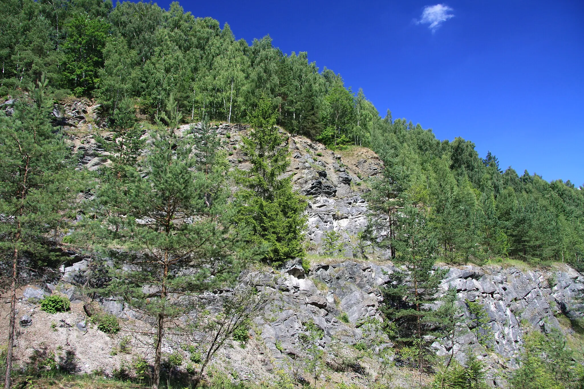 Photo showing: Nature reserve Kladrubská hora near Kladruby in Tábor District, Czech Republic