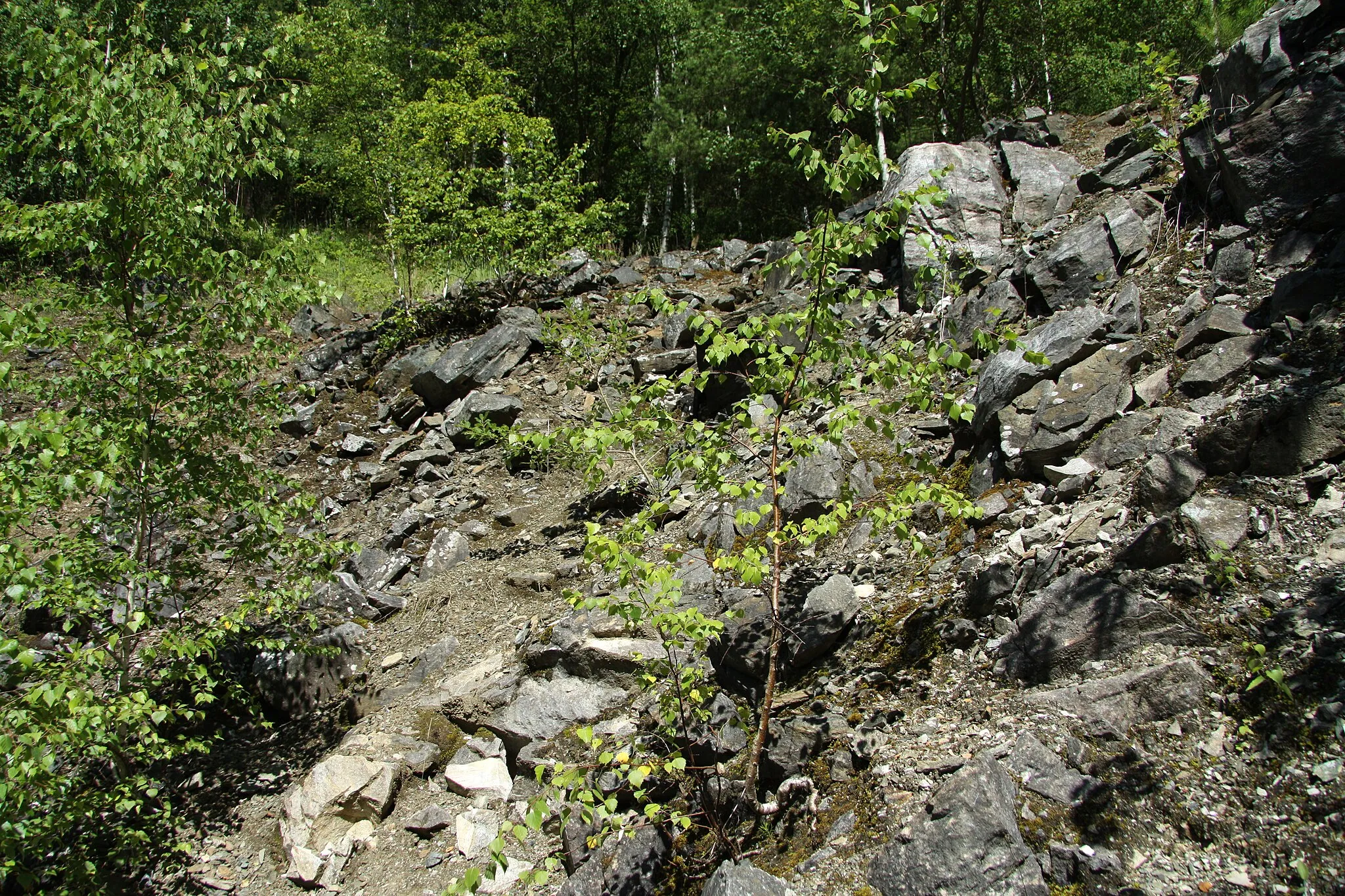 Photo showing: Nature reserve Kladrubská hora near Kladruby in Tábor District, Czech Republic