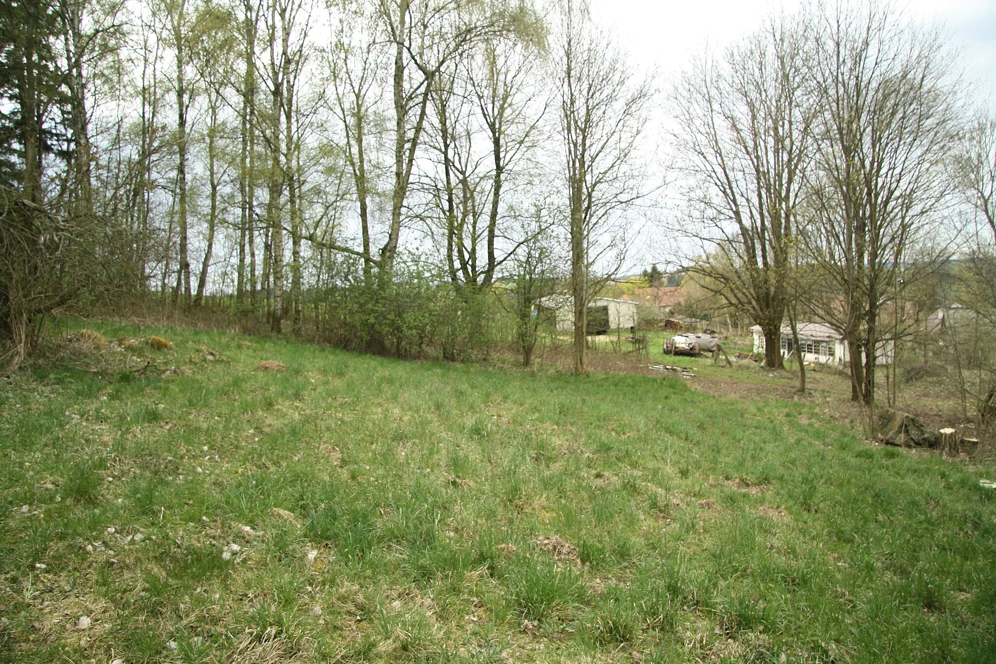 Photo showing: Down part of natural monument Pahorek u Vržanova in Vržanov, Kamenice, Jihlava District.
