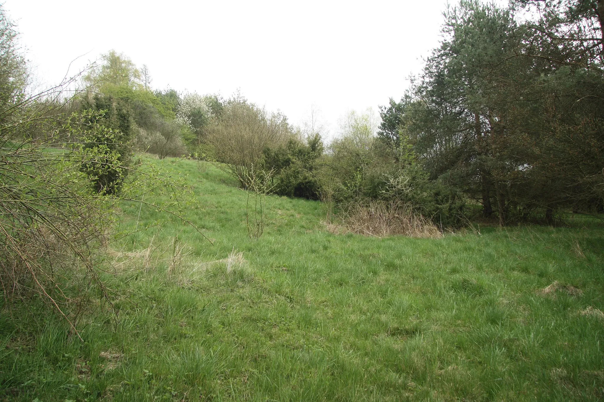 Photo showing: Top part of natural monument Prosenka, Vržanov, Kamenice, Jihlava District.