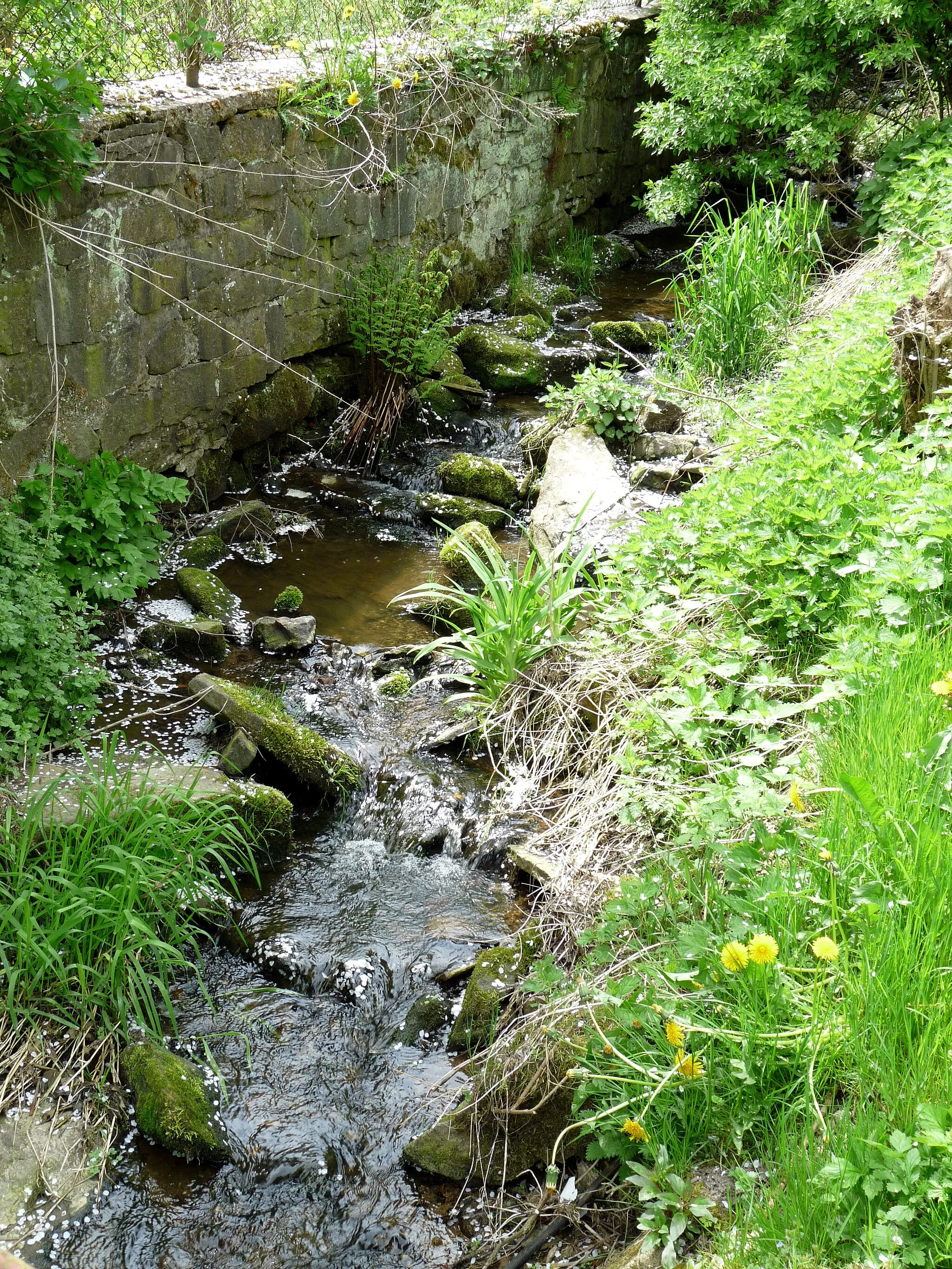 Photo showing: Hornobolíkovský Stream in the village of Horní Bolíkov, Jindřichův Hradec District, South Bohemian Region, Czech Republic, part of Studená.