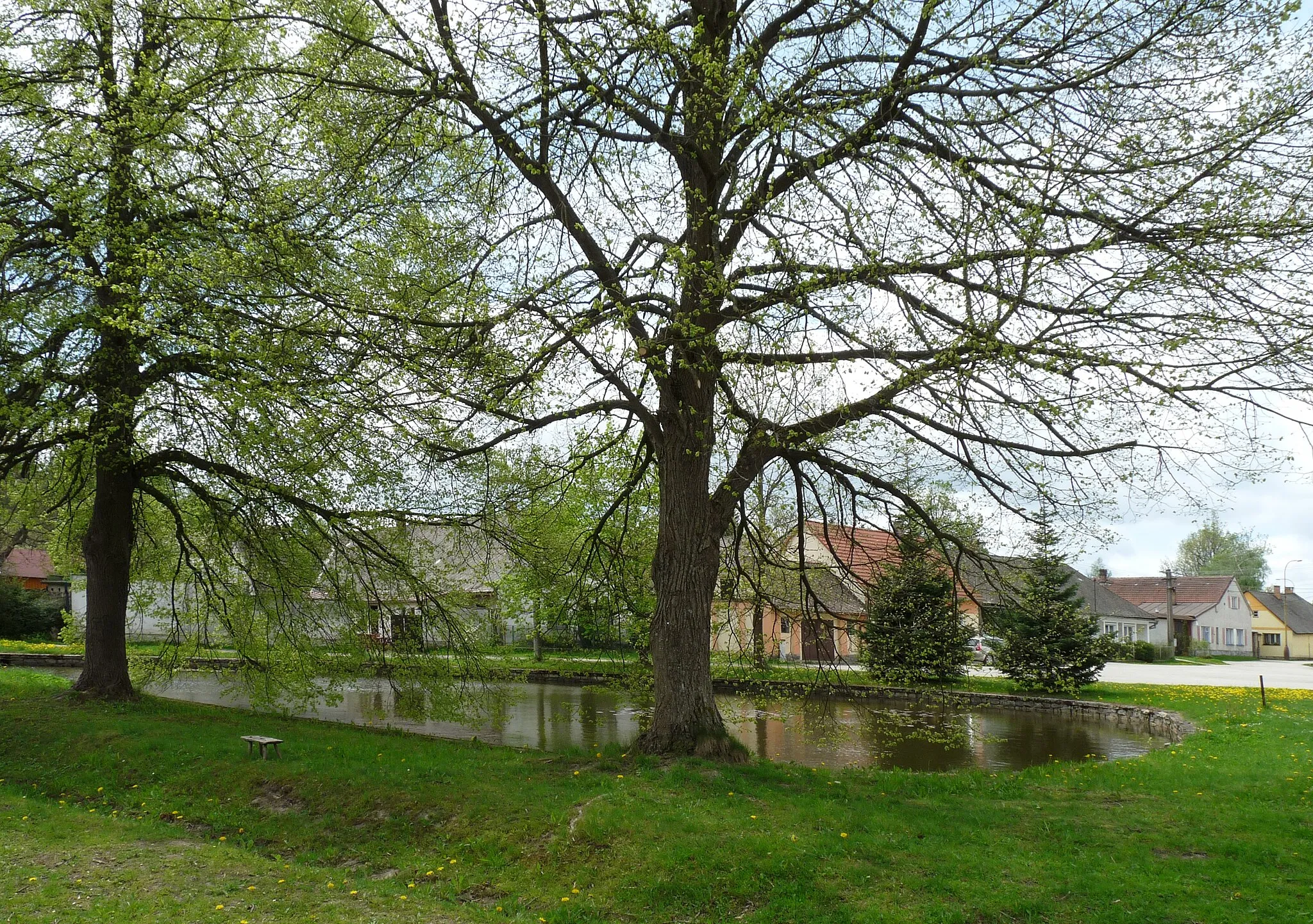 Photo showing: Village pond in Sumrakov, Jindřichův Hradec District, South Bohemia, Czech Republic, part of Studená.