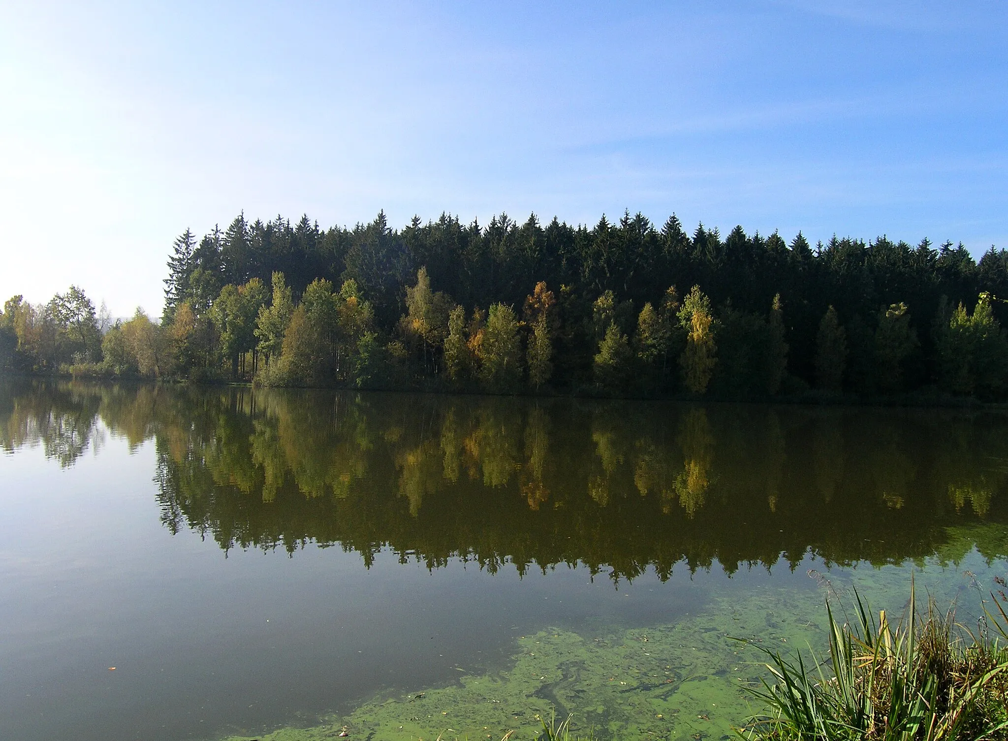 Photo showing: Pávov Pond in Pávov, part of Jihlava, Czech Republic