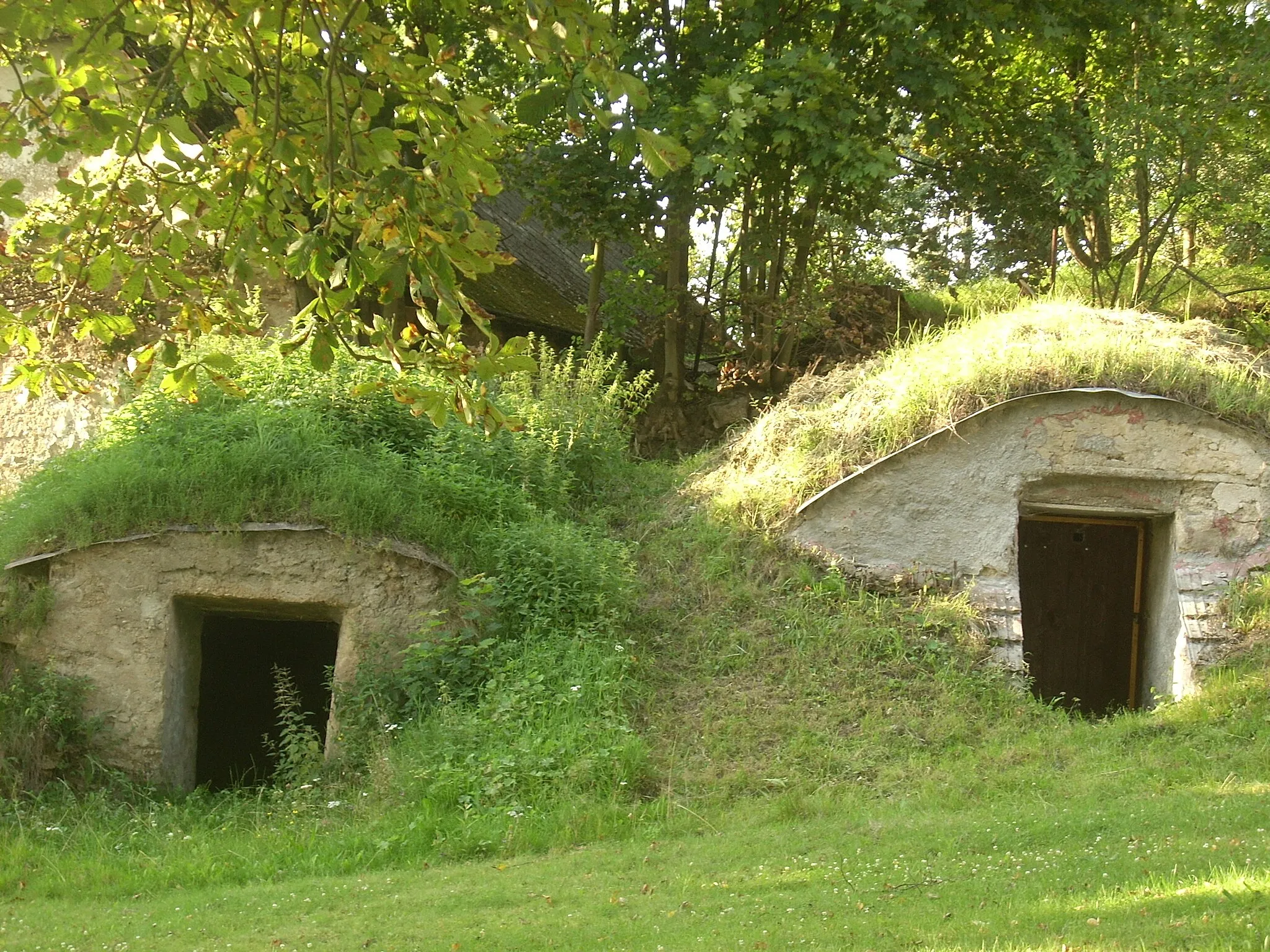 Photo showing: Věžnička, cellars