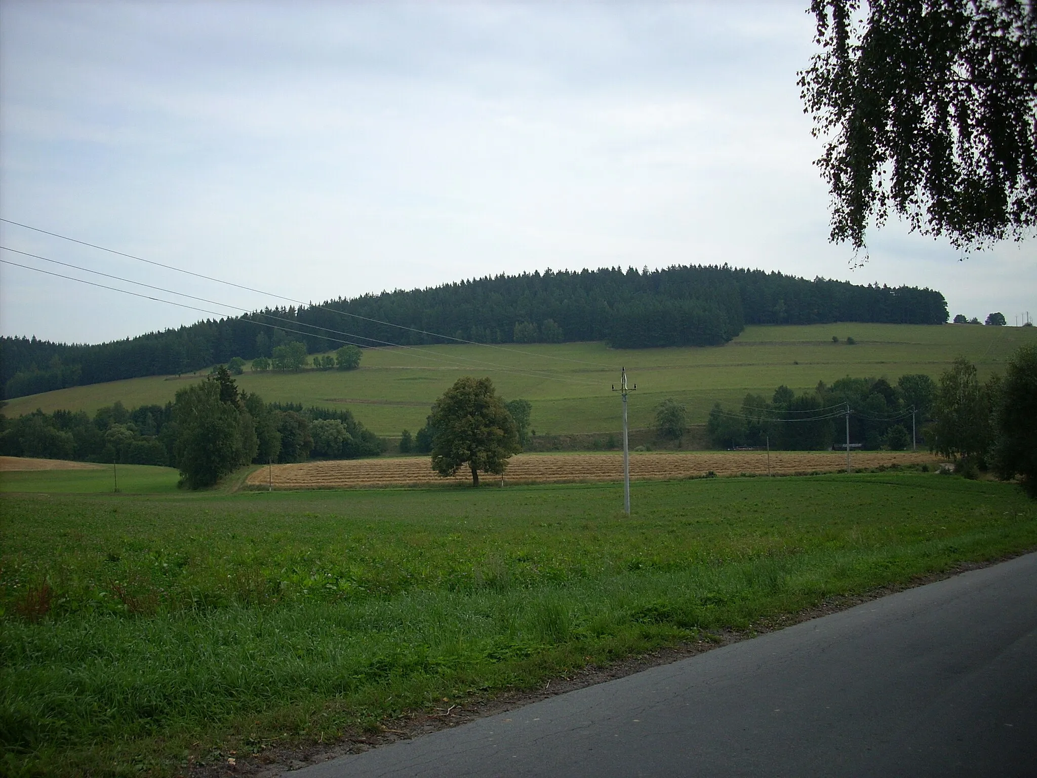 Photo showing: Věžnička, vrch Prašivec