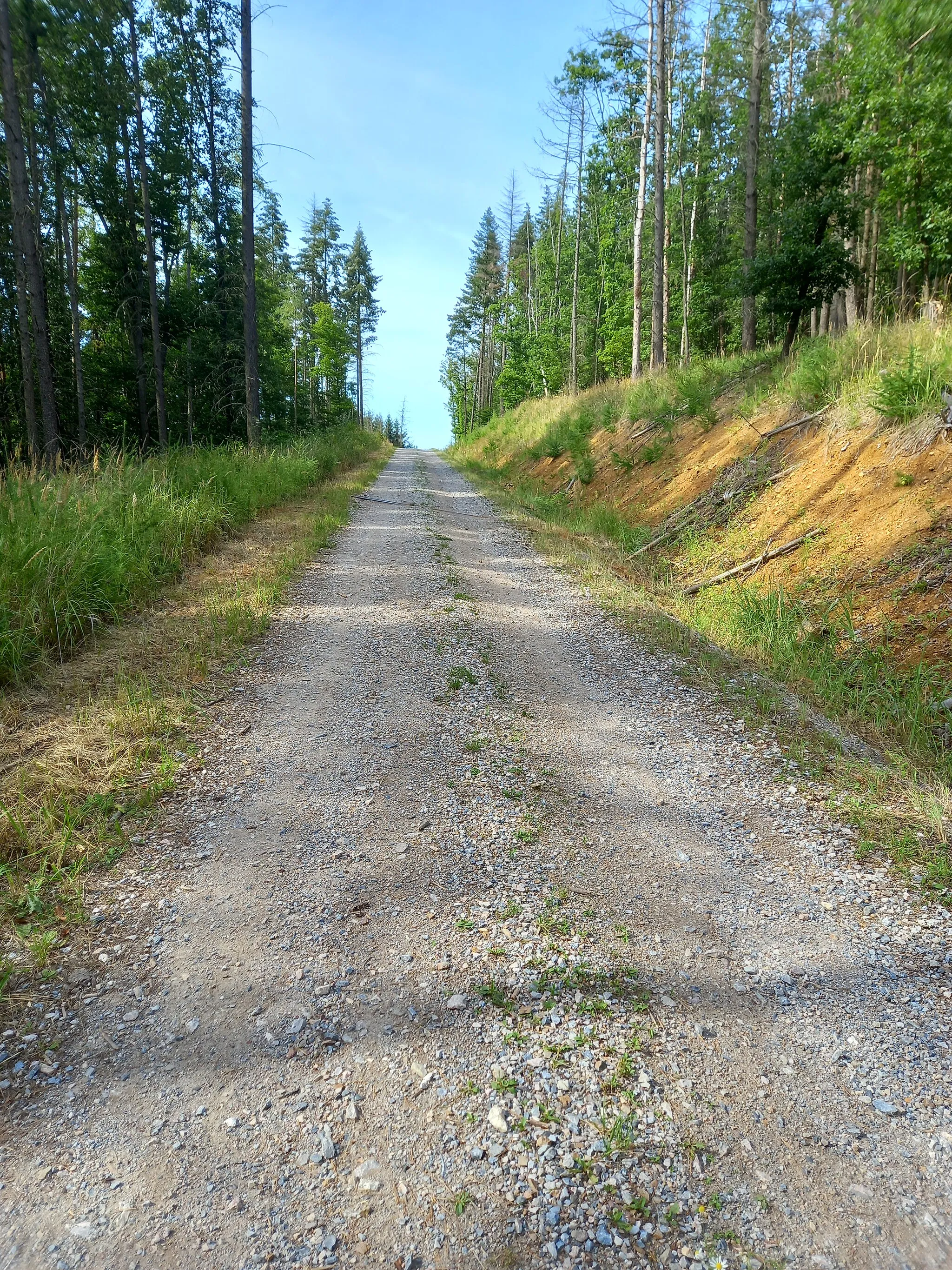 Photo showing: Road between Sychrov a Chochola, Kuŕim, South Moravia, Czech Rep.