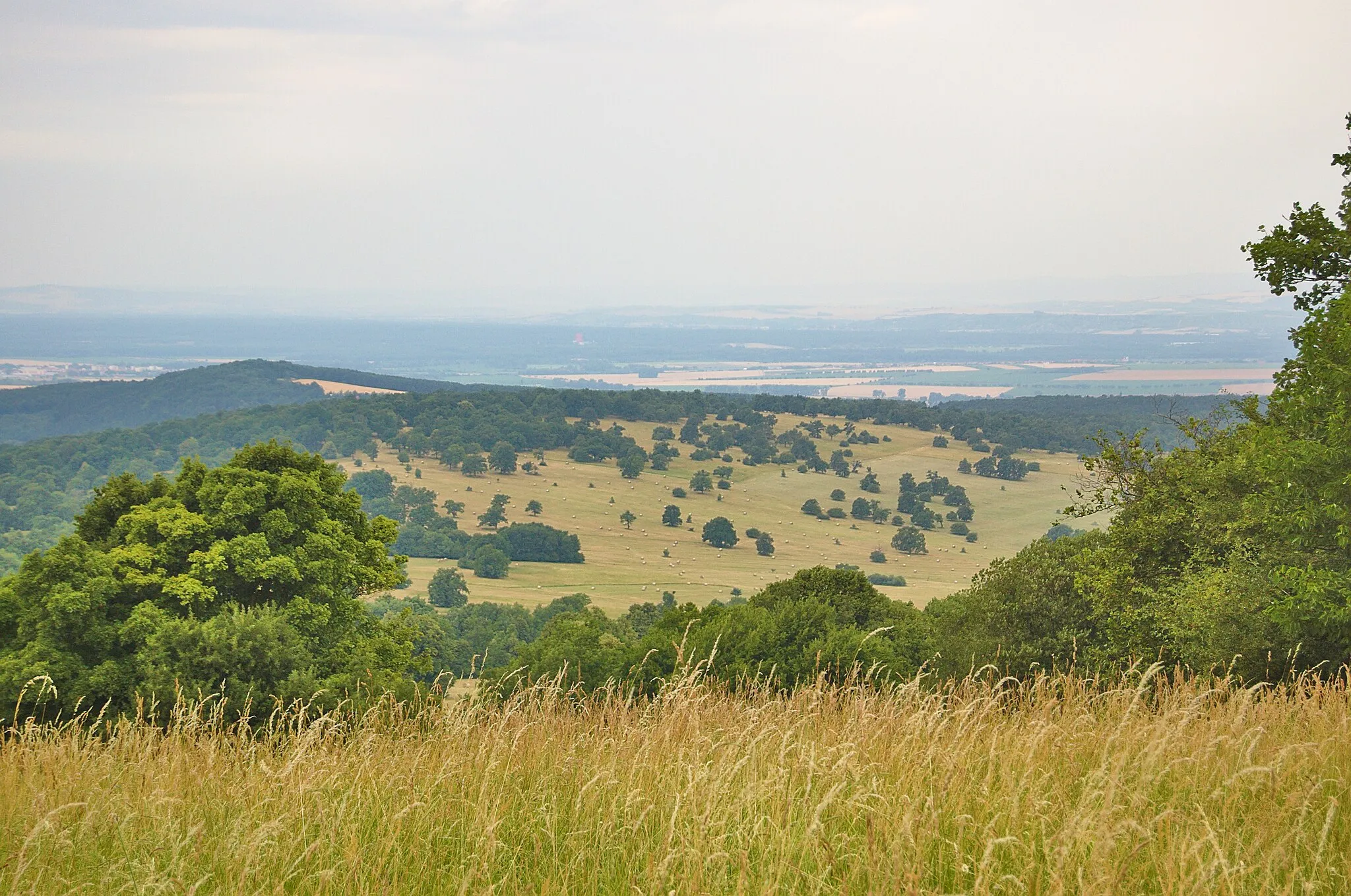 Photo showing: Národní přírodní rezervace Čertoryje, okres Hodonín