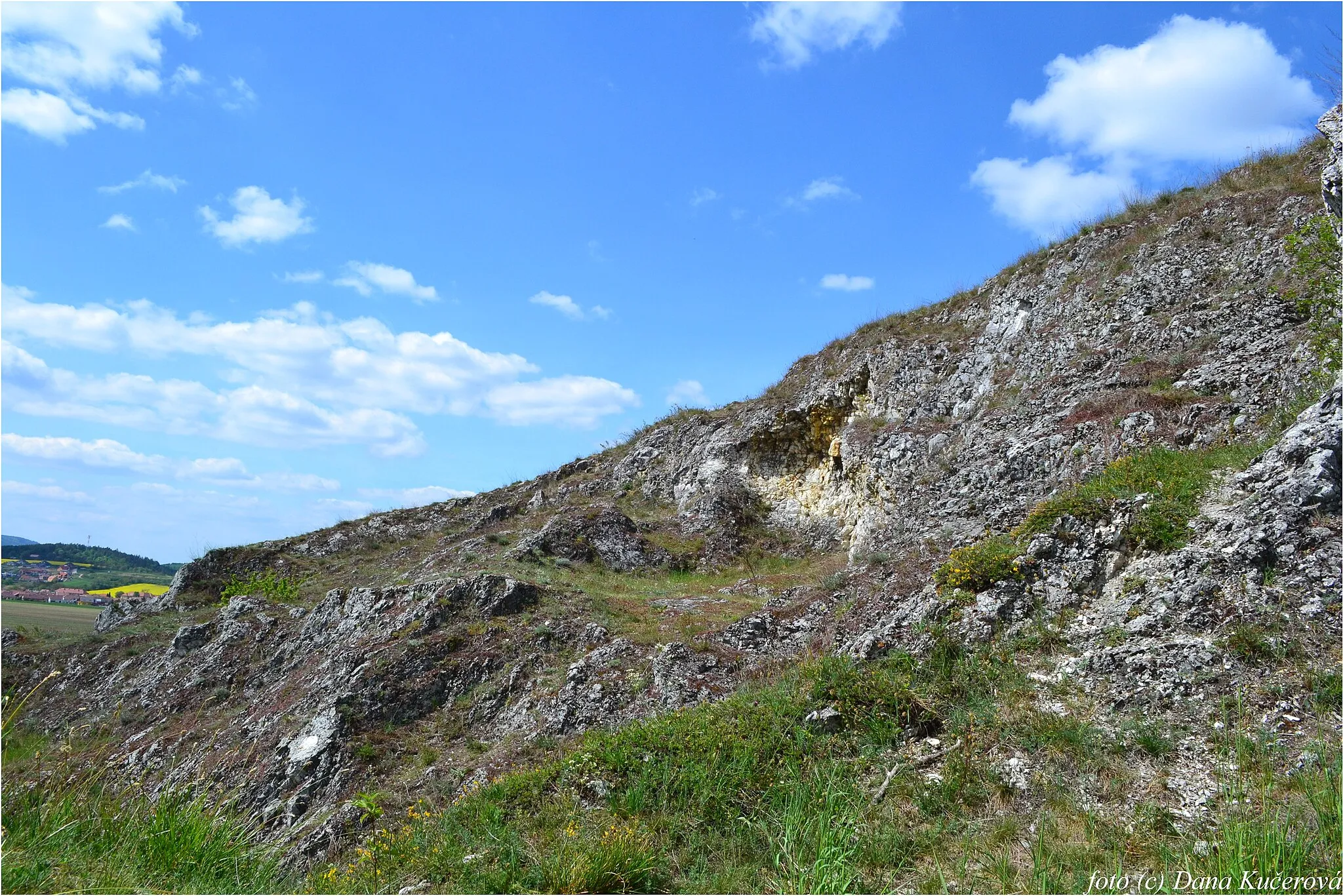 Photo showing: Přírodní památka Malhostovická pecka byla vyhlášena v roce 1980 na ploše 1,85 ha v k.ú. Malhostovice a je tvořena vyvýšeným skalním útvarem z devonských vápenců (300-332 m n.m.) se skalní stepí a teplomilnými stepními společenstvy s roztroušenými dřevinami při úpatí. Lokalita je obklopena intenzivně obhospodařovanou zemědělskou půdou. Přírodní památka je především stepní lokalitou a dřeviny jsou v území zastoupeny jen roztroušeně, především při jižním úpatí. Především jde o více druhů keřů: růži šípkovou, svídu krvavou, trnku obecnou vč. některých dalších. Také tu najdeme některé druhy ovocných stromů.