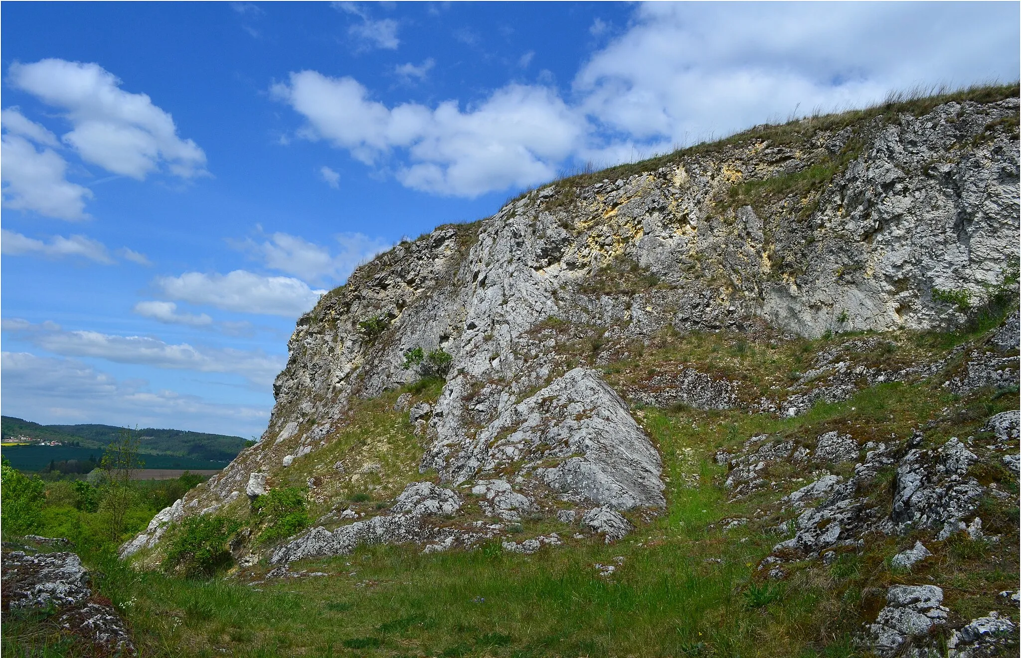 Photo showing: Přírodní památka Malhostovická pecka byla vyhlášena v roce 1980 na ploše 1,85 ha v k.ú. Malhostovice a je tvořena vyvýšeným skalním útvarem z devonských vápenců (300-332 m n.m.) se skalní stepí a teplomilnými stepními společenstvy s roztroušenými dřevinami při úpatí. Lokalita je obklopena intenzivně obhospodařovanou zemědělskou půdou. Přírodní památka je především stepní lokalitou a dřeviny jsou v území zastoupeny jen roztroušeně, především při jižním úpatí. Především jde o více druhů keřů: růži šípkovou, svídu krvavou, trnku obecnou vč. některých dalších. Také tu najdeme některé druhy ovocných stromů.