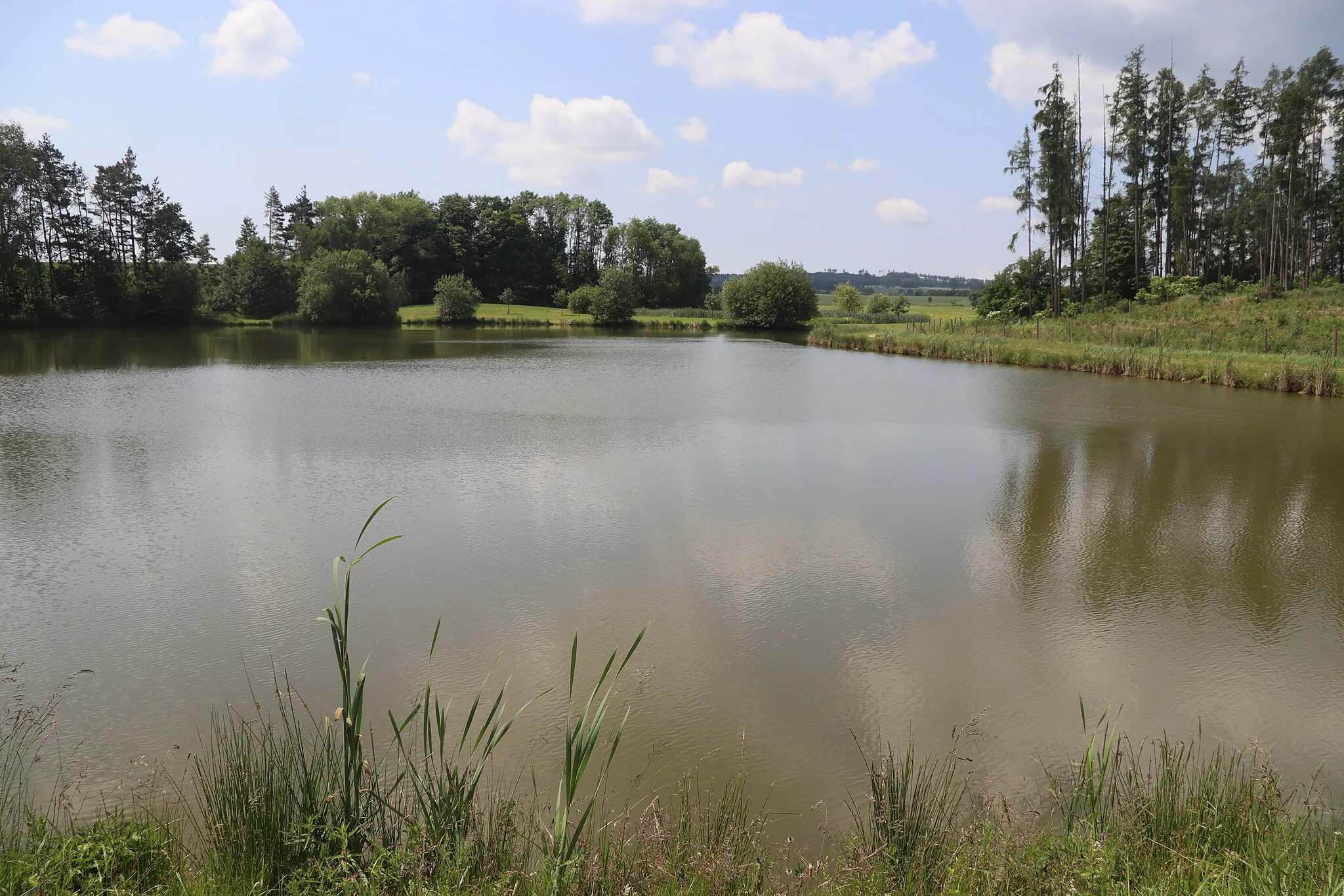 Photo showing: Overview of pond Lukavec near Pálovice, Třebíč District.