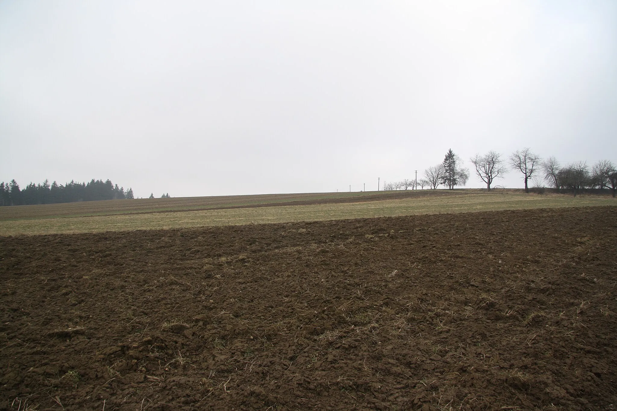 Photo showing: Overview of nature monument Ouperek in Bobrůvka, Žďár nad Sázavou District.