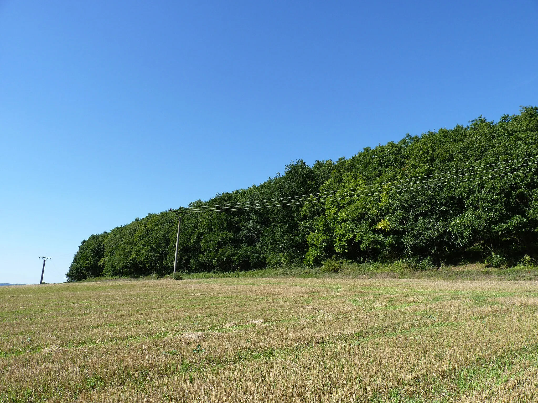 Photo showing: Natural monument Šiberná, Brno-Country District, South Moravian Region, Czech Republic