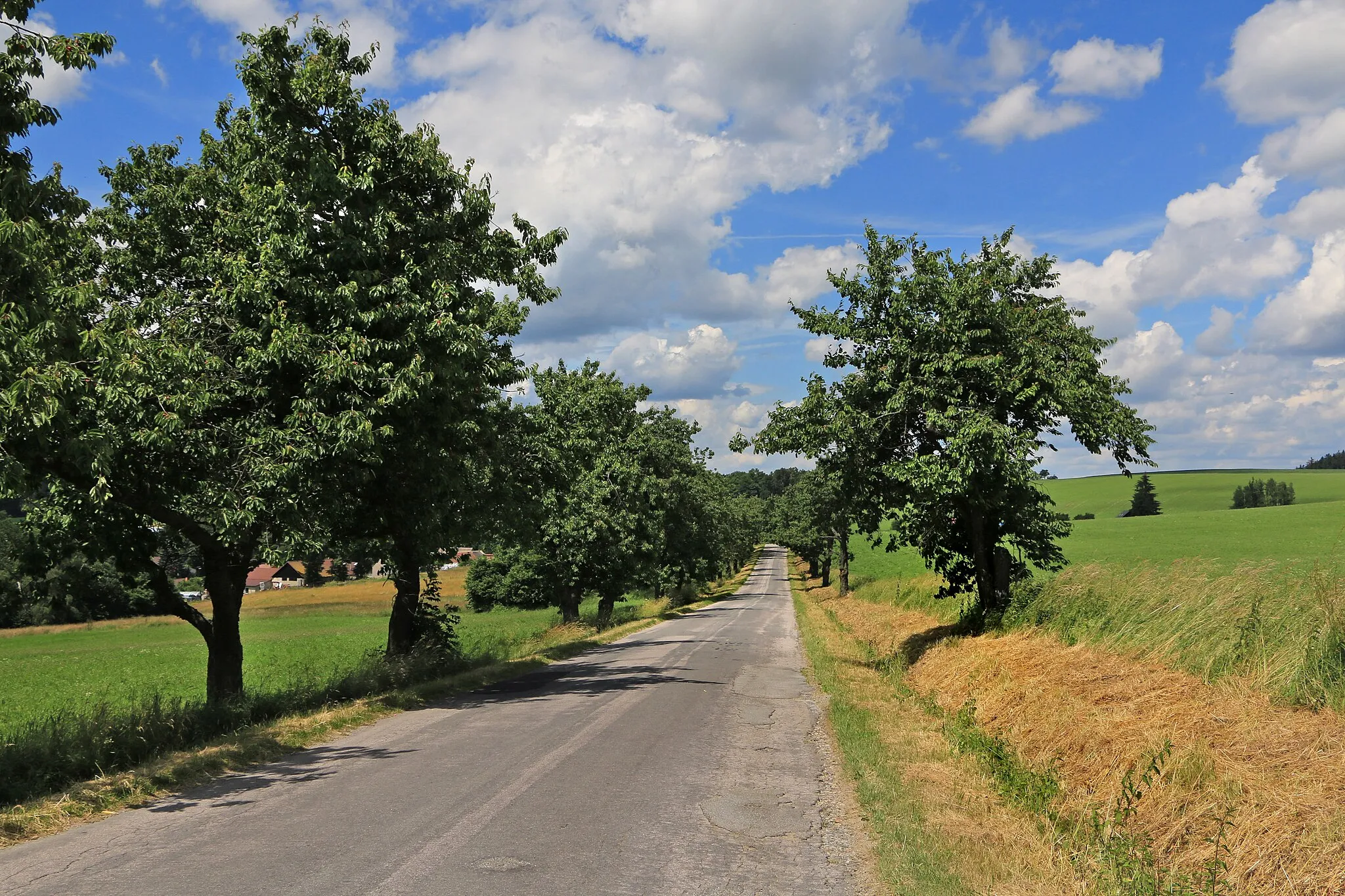 Photo showing: Road to Stajiště, part of Pavlov, Czech Republic.