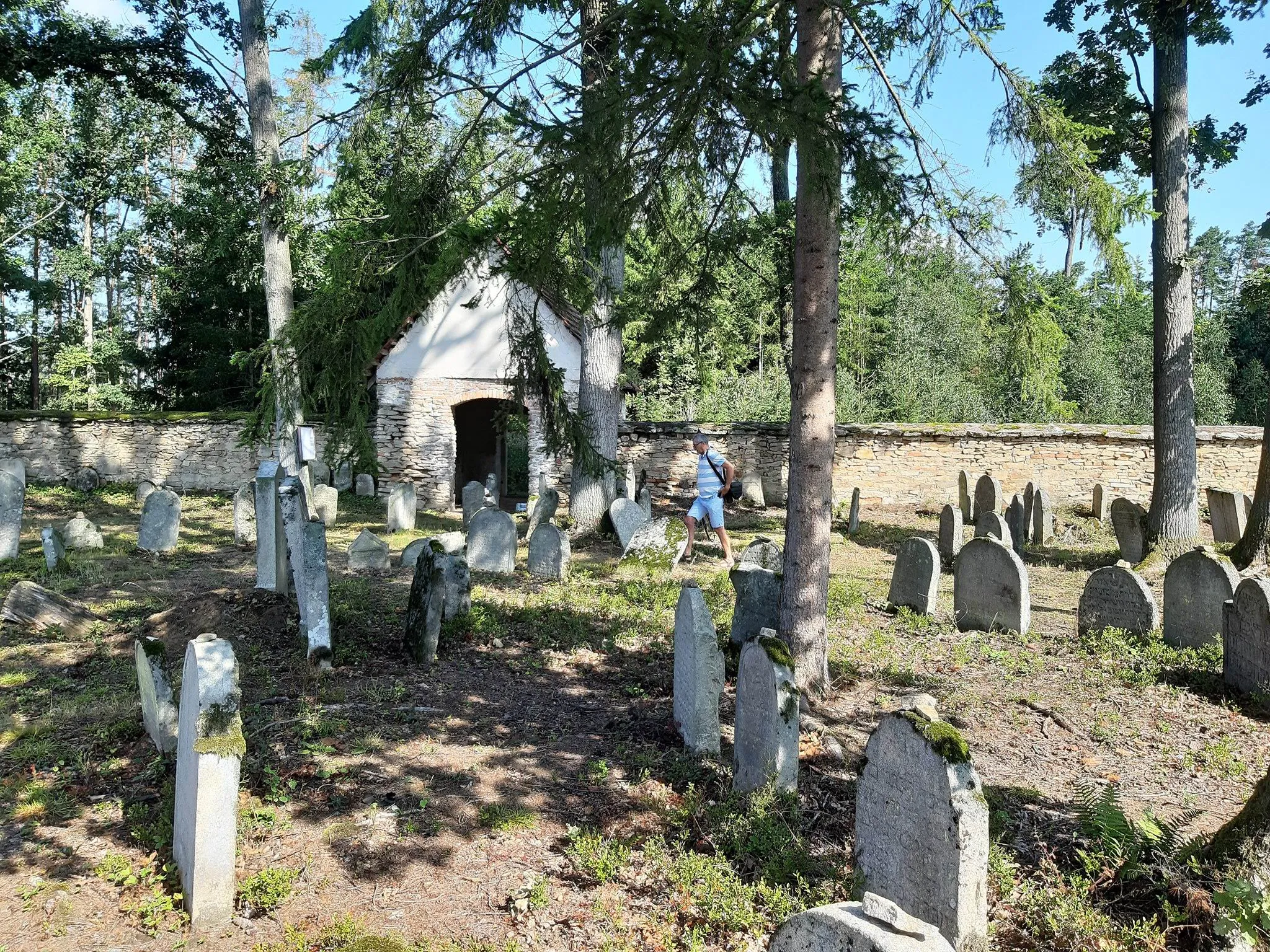 Photo showing: Lesní židovský hřbitov u Myslůvky