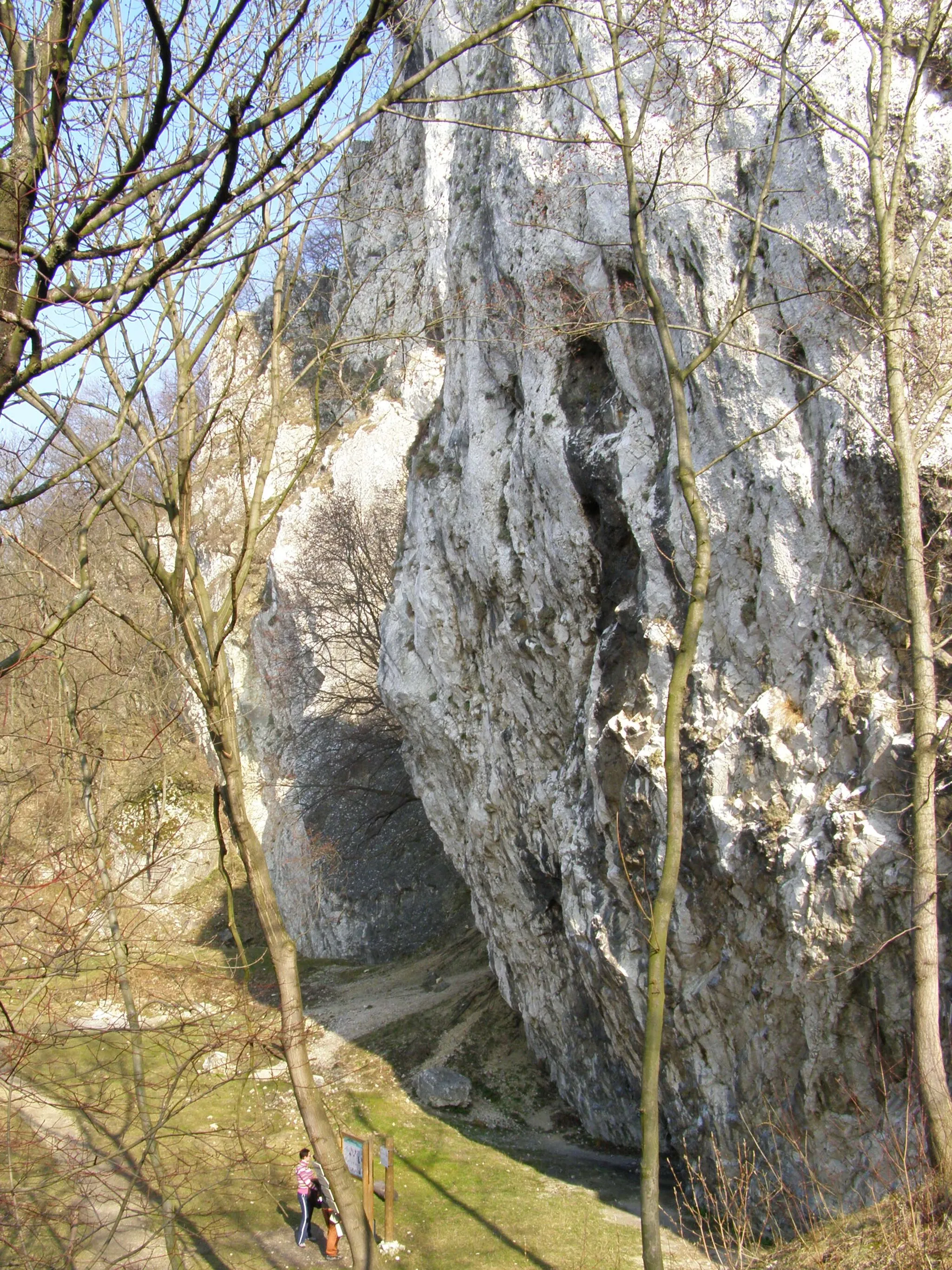 Photo showing: Pavlovské vrchy, Pod Martinkou