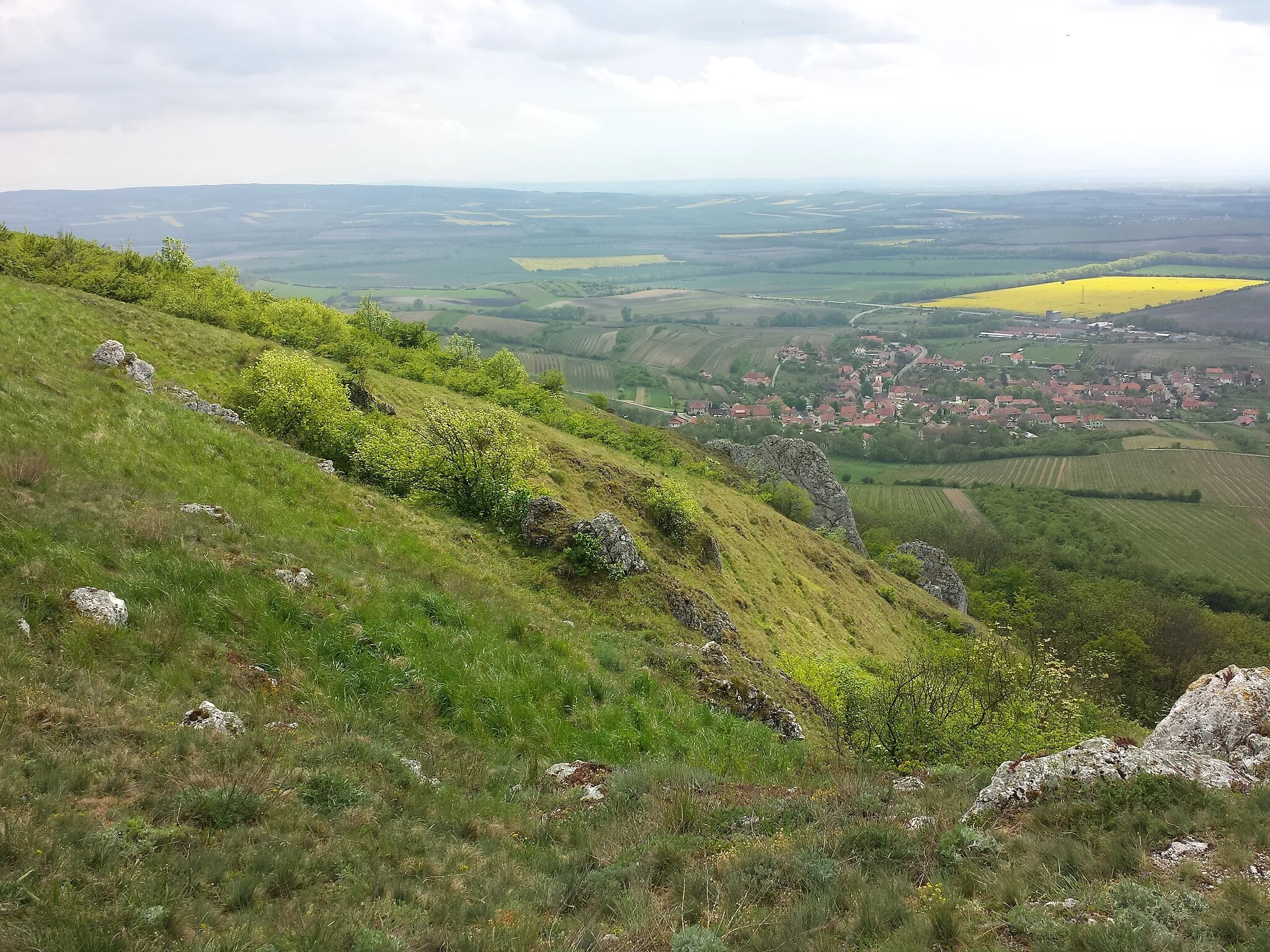 Photo showing: Tabulová hora near Klentnice, Jihomoravský kraj, Czech Republic - ca. 450 m a.s.l.
Dry grassland on lime stone - West slope, view towards Bavory