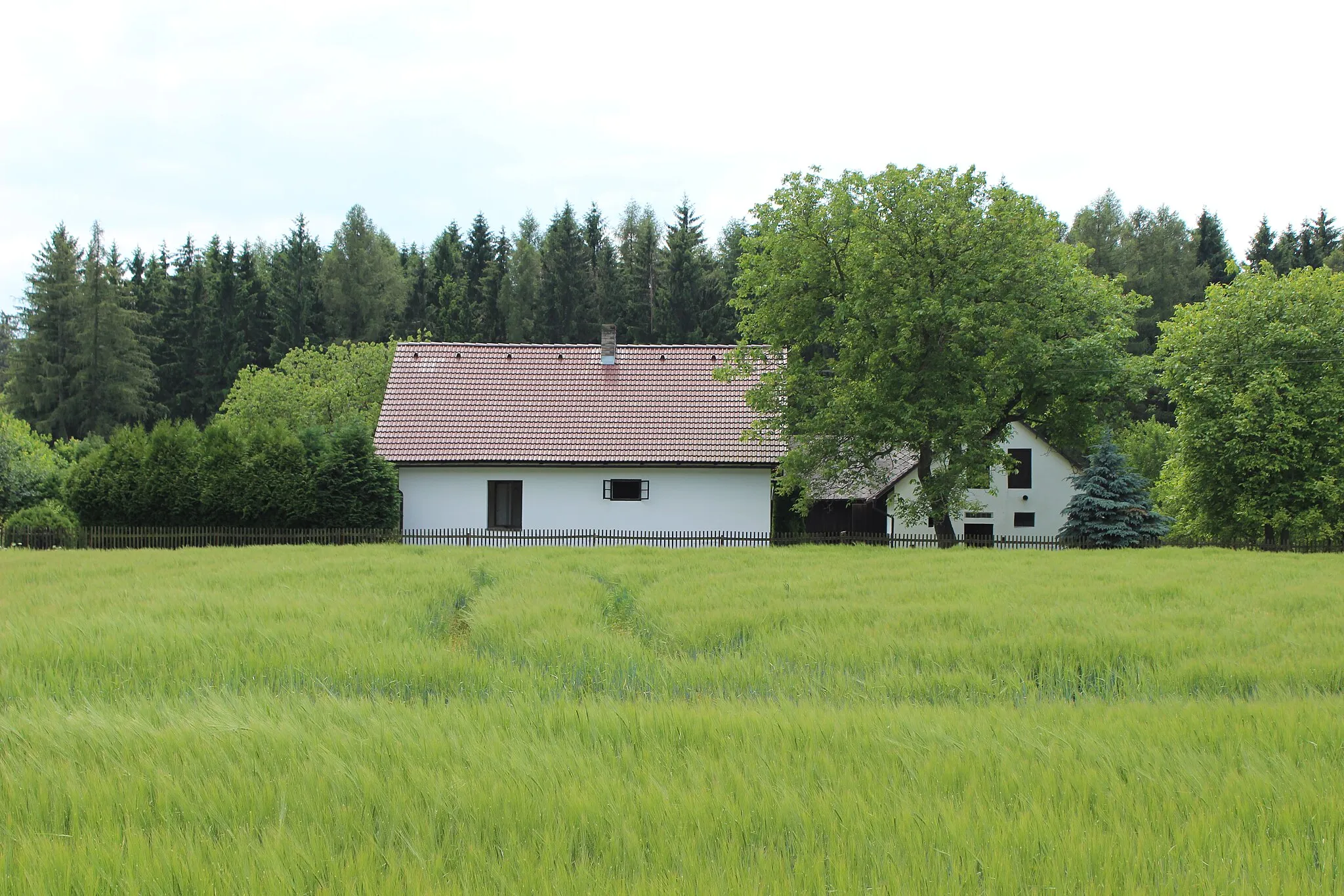 Photo showing: Krčmy, dům číslo popisné 50 v katastrálním území Chyšná.