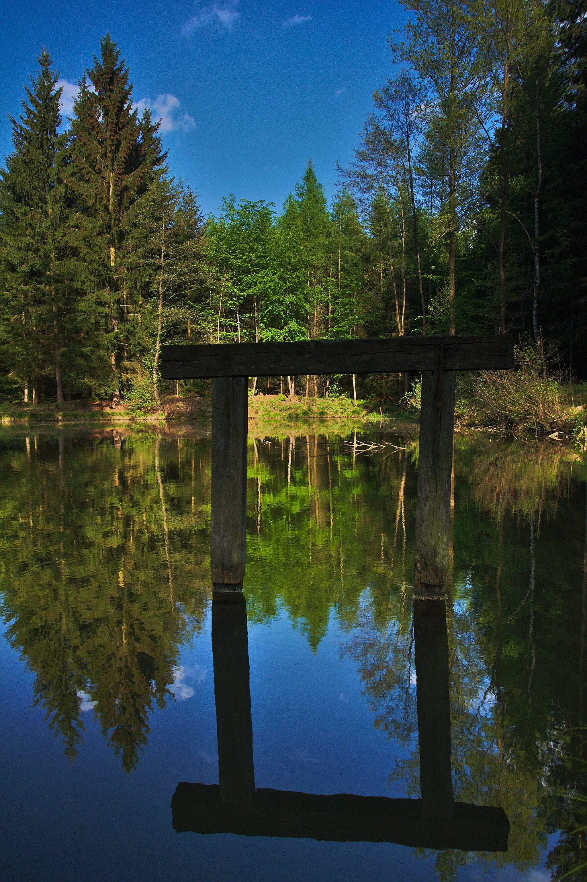 Photo showing: Rybník v lese mezi Valchovem, Boskovicemi a Újezdem, okres Blansko