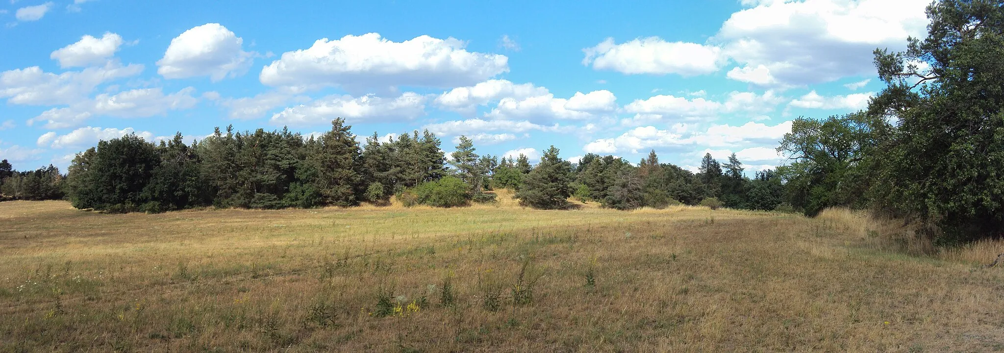 Photo showing: Přírodní rezervace Biskoupský kopec, panorama 2