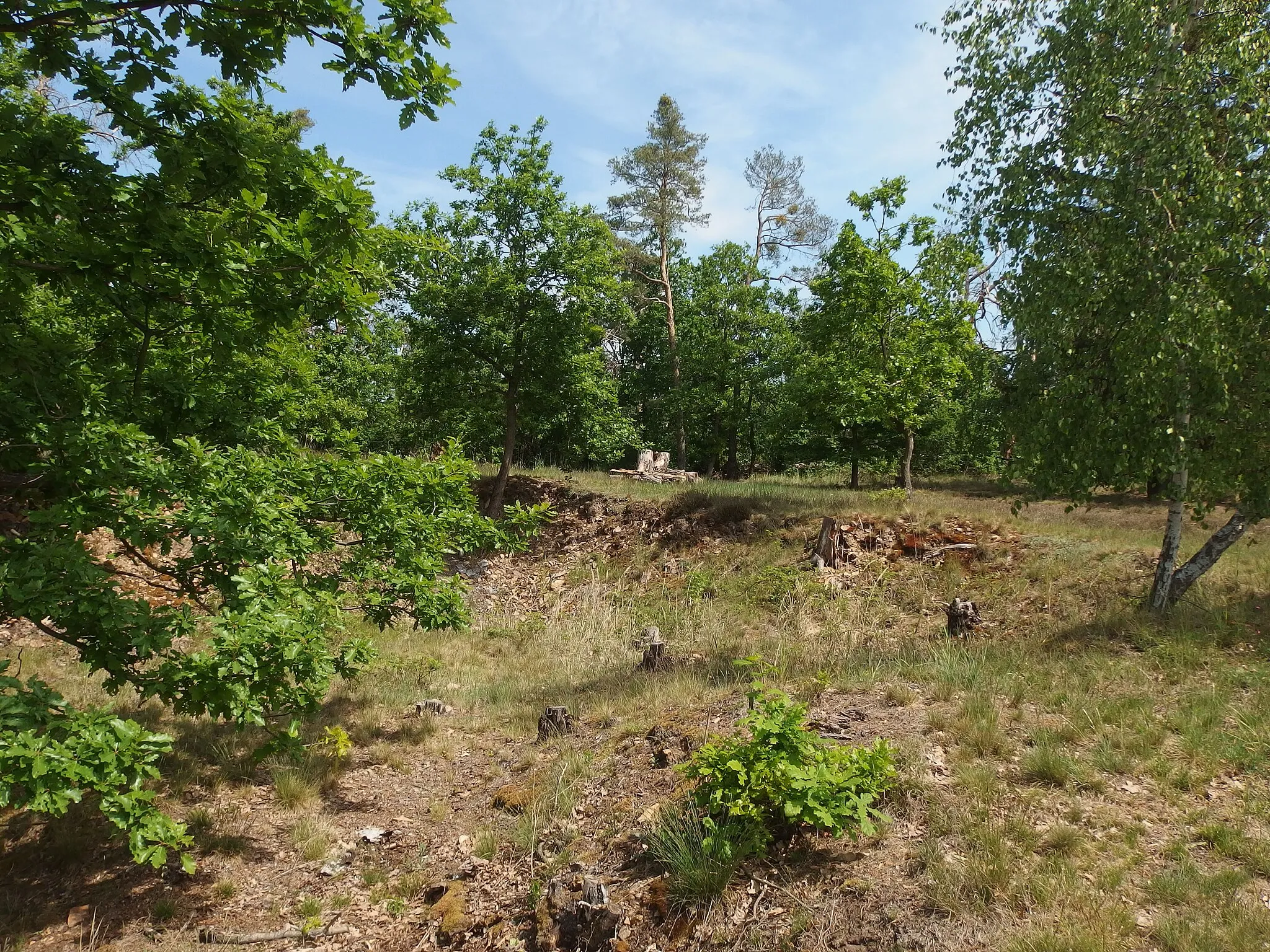 Photo showing: Biskoupky, Brno-Country District, Czechia. Biskoupský kopec natural monument.