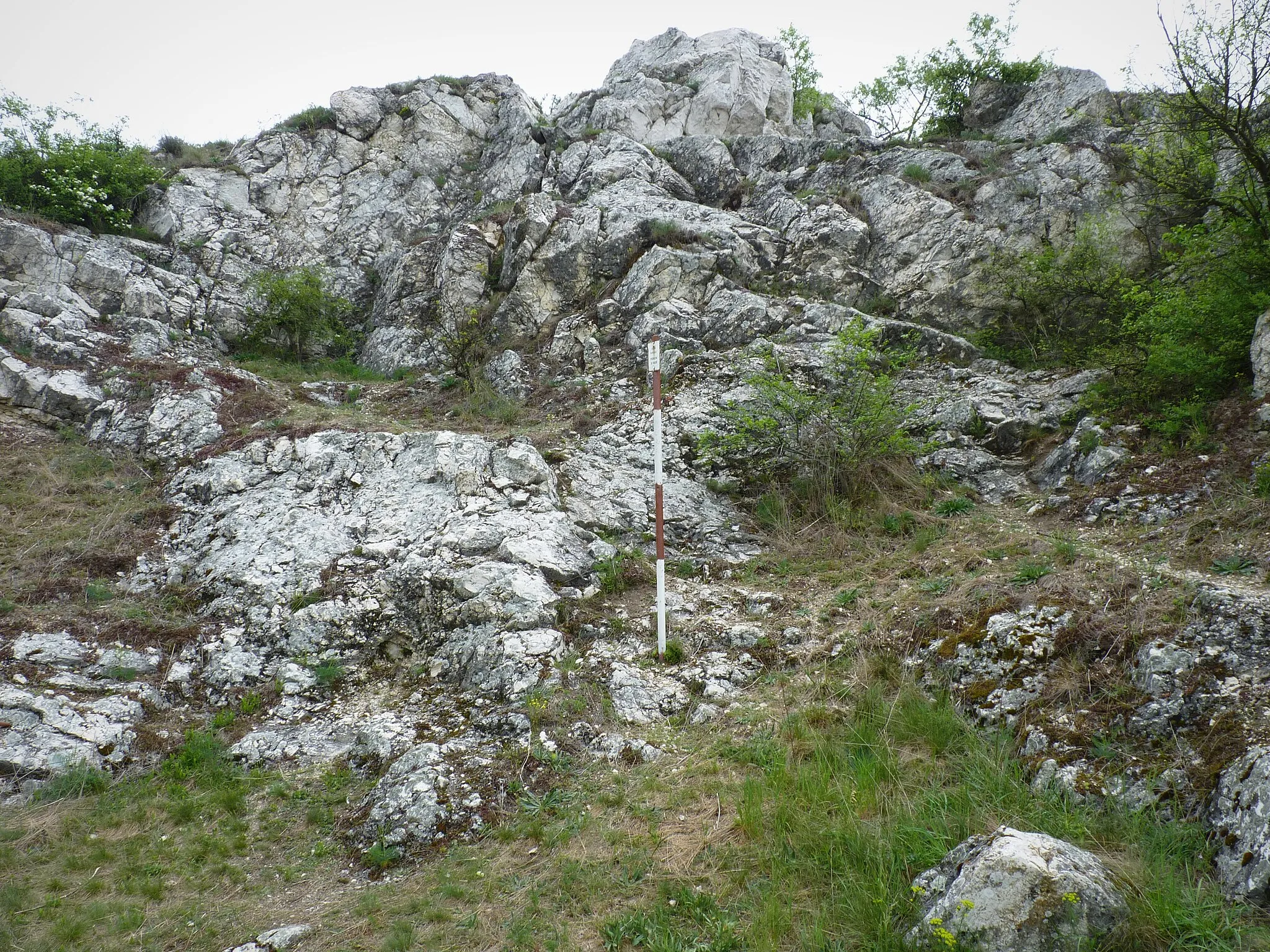 Photo showing: Kocici skala, natural monument. Palava, South Moravian Region, Czech Republic