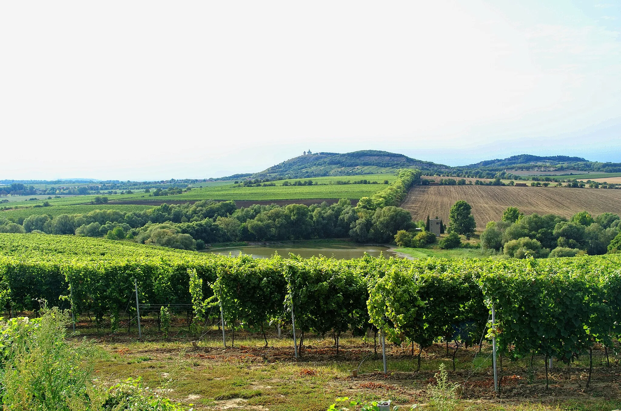 Photo showing: Mikulov - Wine Region - View SSE towards Liščí vrch