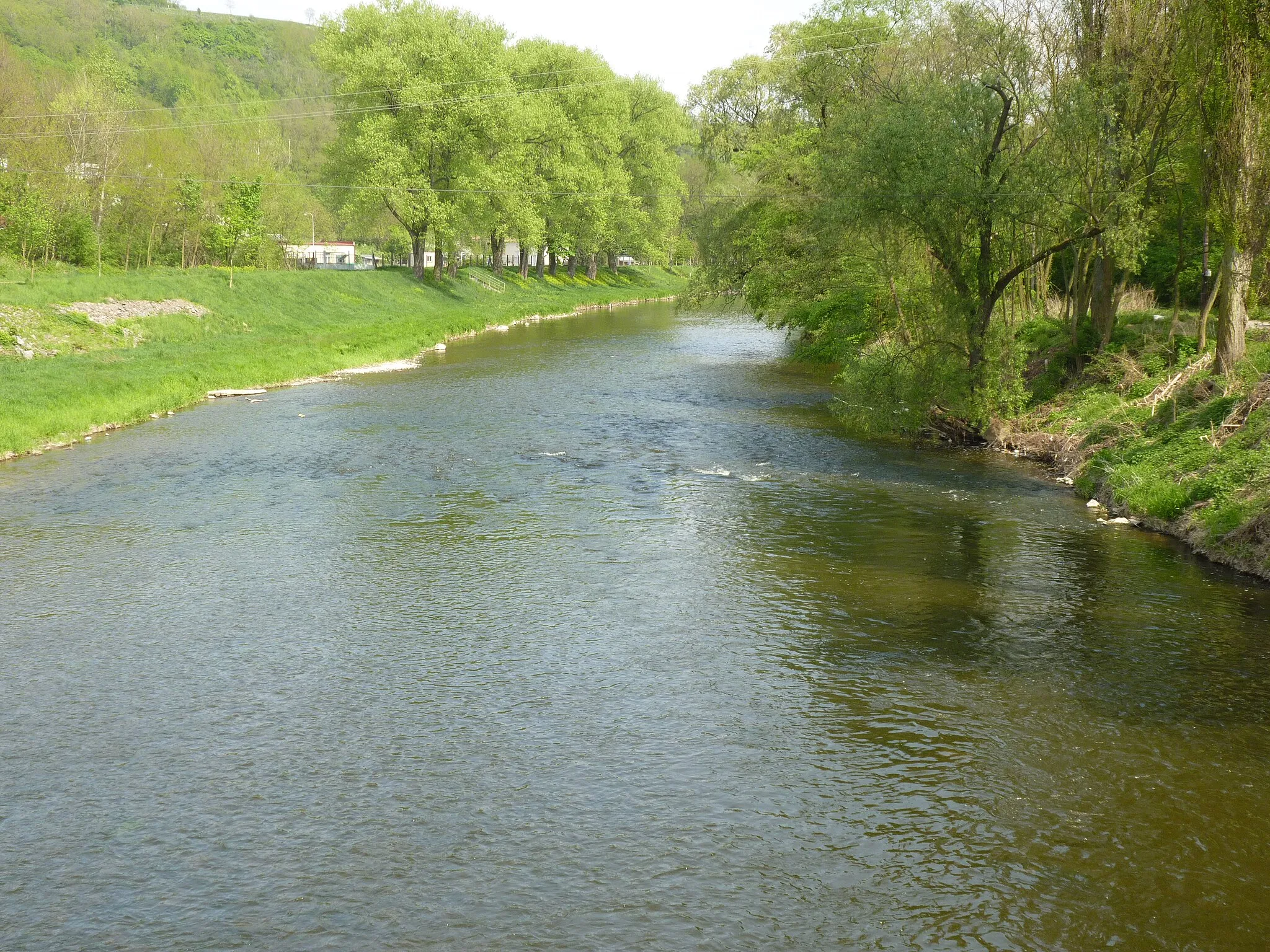 Photo showing: Jihlava RIver in Ivančice, Brno-Country District, South Moravian Region, Czech Republic