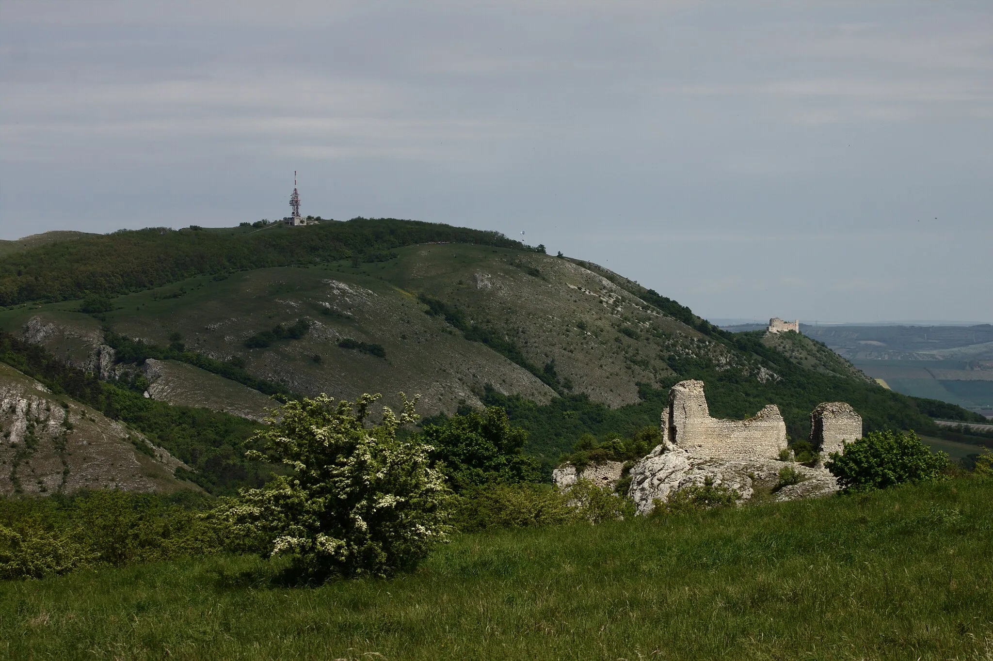 Photo showing: Děvín hill in Pálavské vrchy, South Moravian Region, CZ