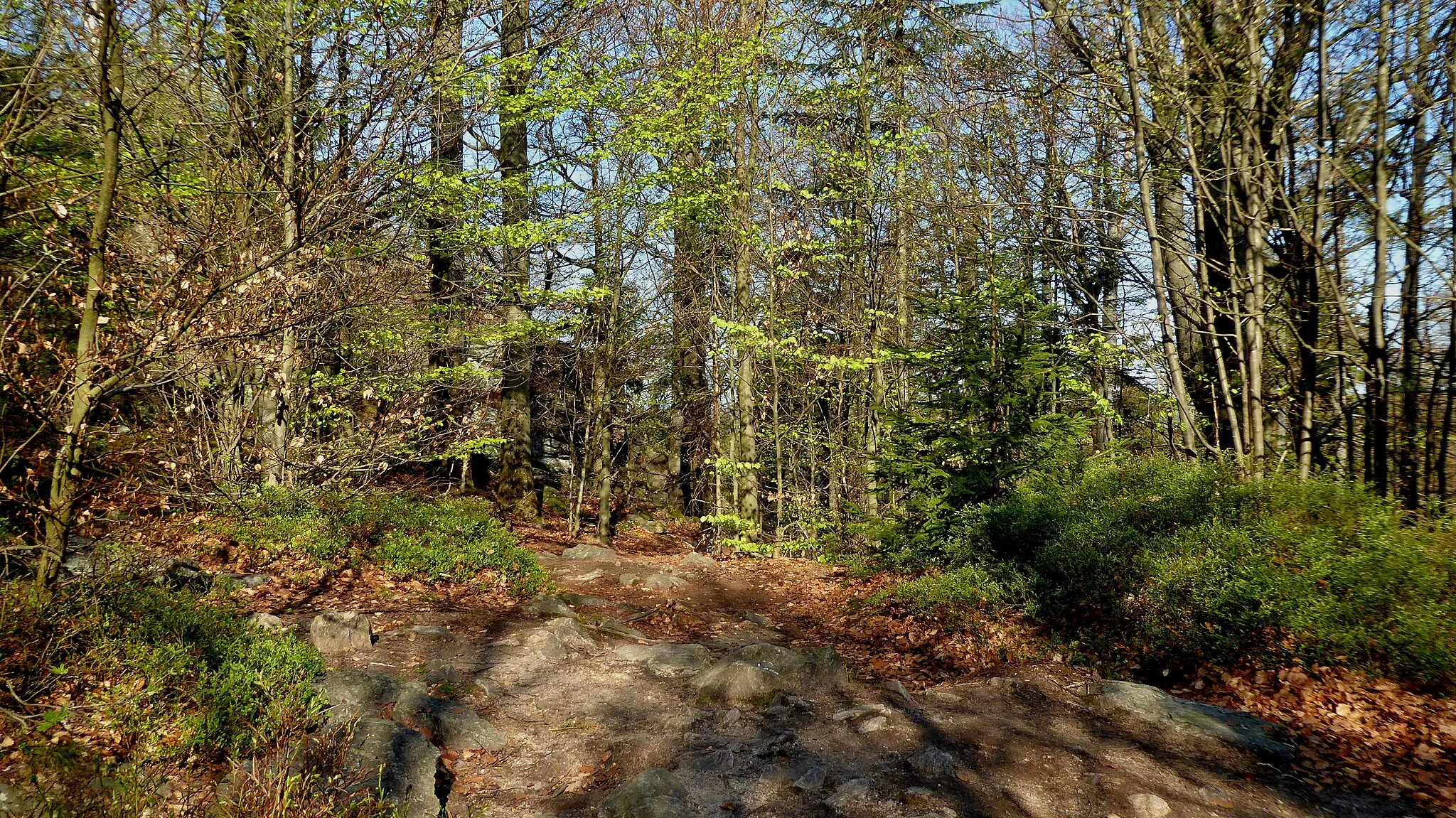 Photo showing: "Pasecká" Rock (819 m asl) in the georelief of the "Pohledeckoskalská" Highlands. The top part with rock outcrops and forest stands is a specially protected territory of a natural monument in the Žďár Hills Protected Landscape Area. Photo-location: Czechia, "Vysočina" Region, village "Studnice" (part of town "Nové Město na Moravě), "Pohledeckoskalská" Highlands, "Pasecká" Rock, view from the hiking route of the Club of Czech Tourists, green mark (0°).