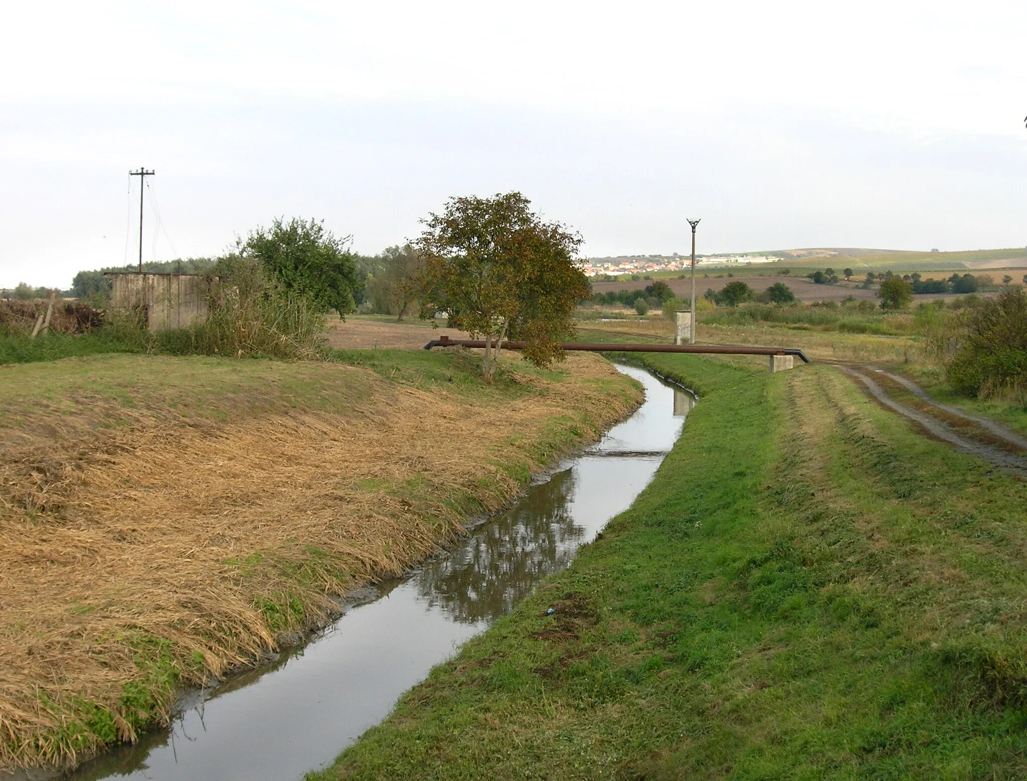 Photo showing: Trkmanka River in Bořetice, Czech Republic